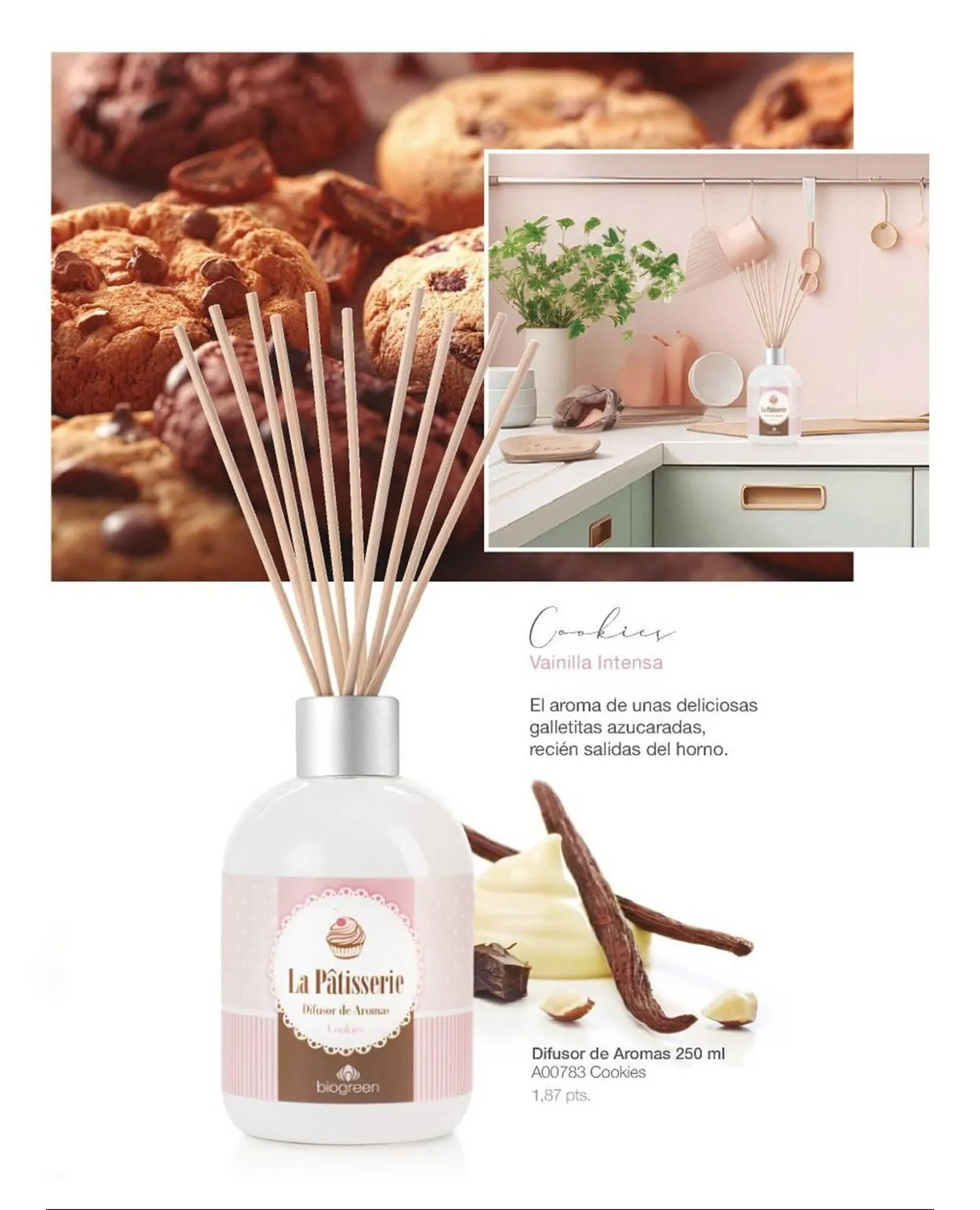 Ofertas de Catálogo Biogreen 16 de febrero al 1 de marzo 2026 - Página 55 del catálogo