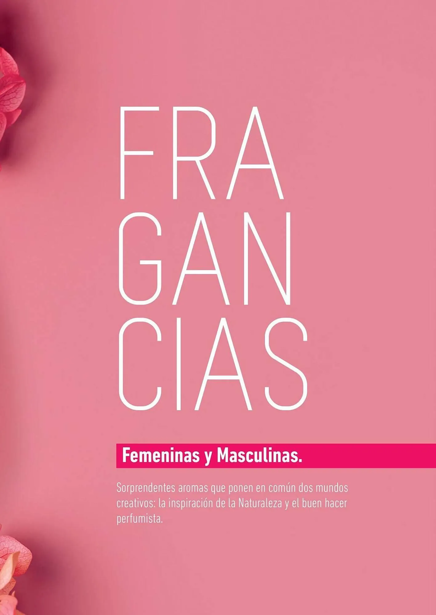 Ofertas de Catálogo Reino Cosmética 8 de mayo al 31 de mayo 2025 - Página 153 del catálogo