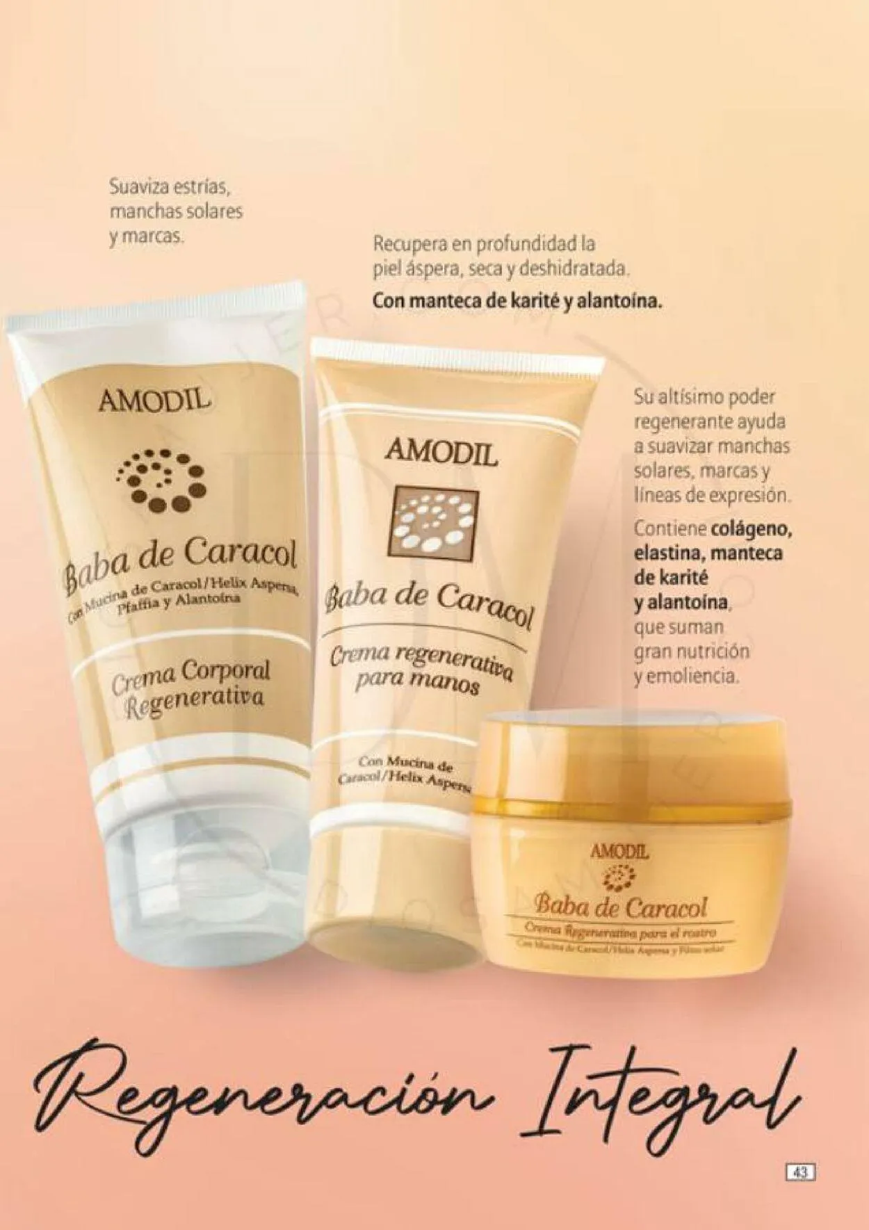 Ofertas de Amodil 3 de noviembre al 30 de noviembre 2023 - Página 43 del catálogo