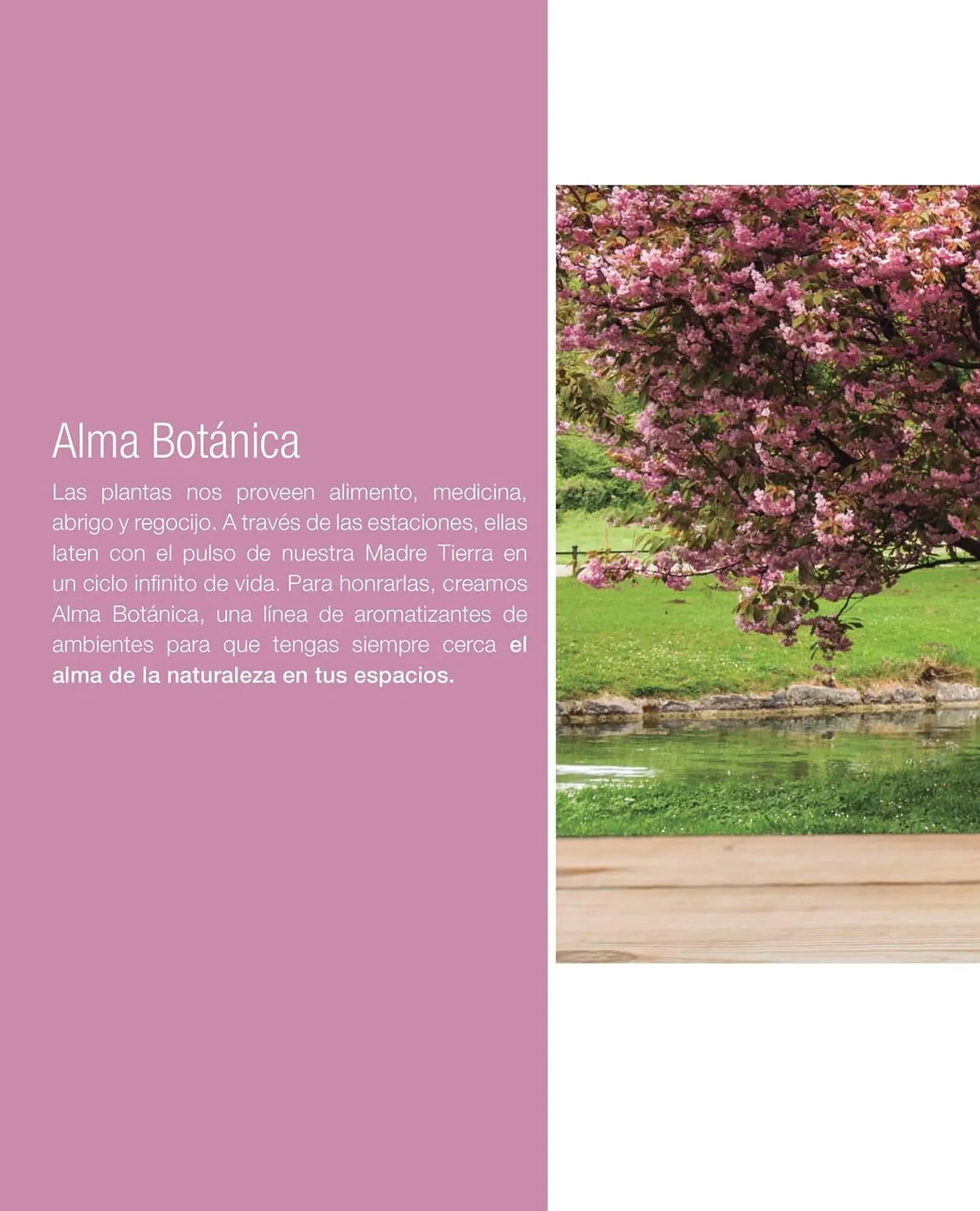 Ofertas de Catálogo Biogreen 20 de octubre al 30 de noviembre 2023 - Página 26 del catálogo