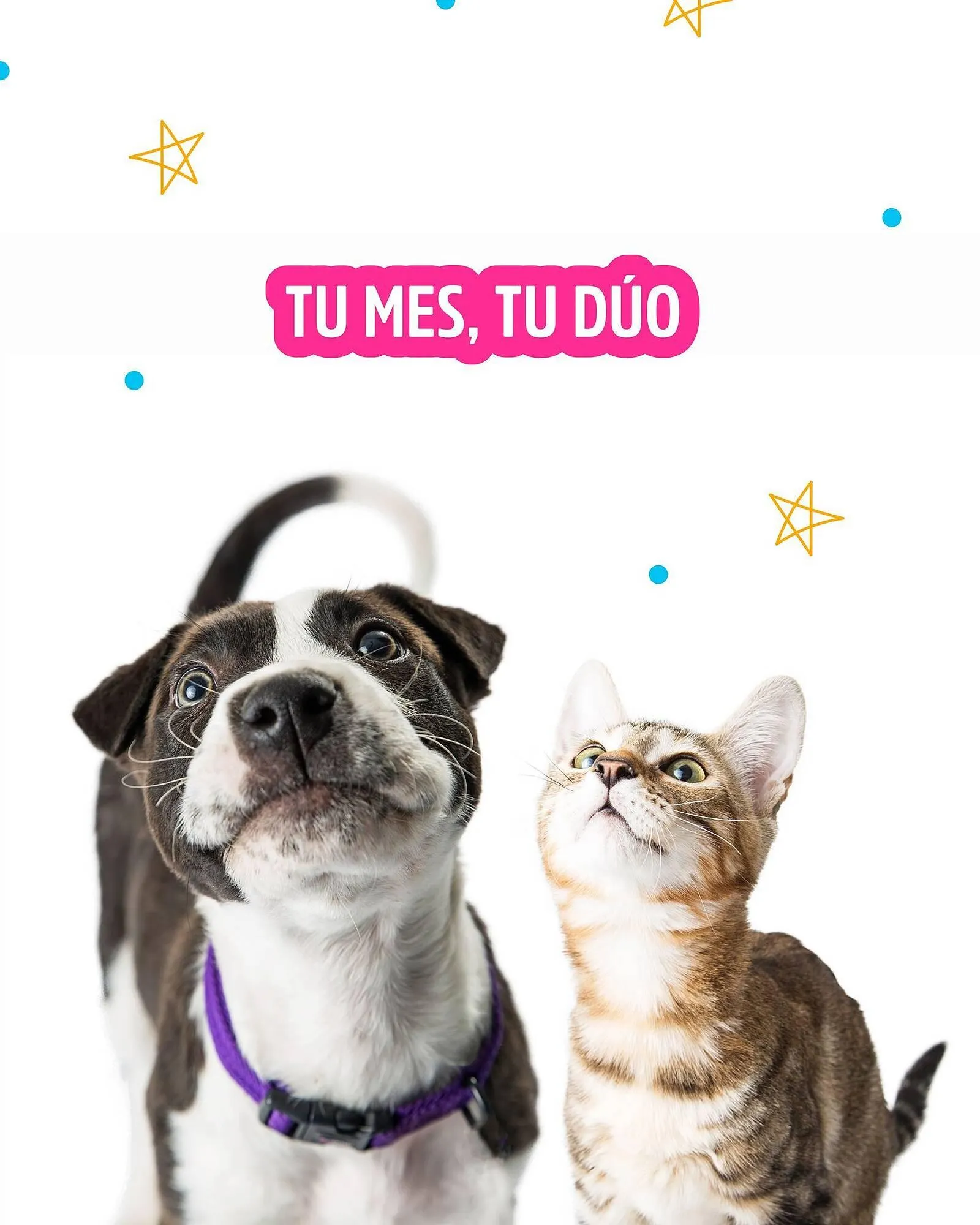 Ofertas de Catálogo Casper Pet Store 10 de abril al 30 de abril 2025 - Página 1 del catálogo