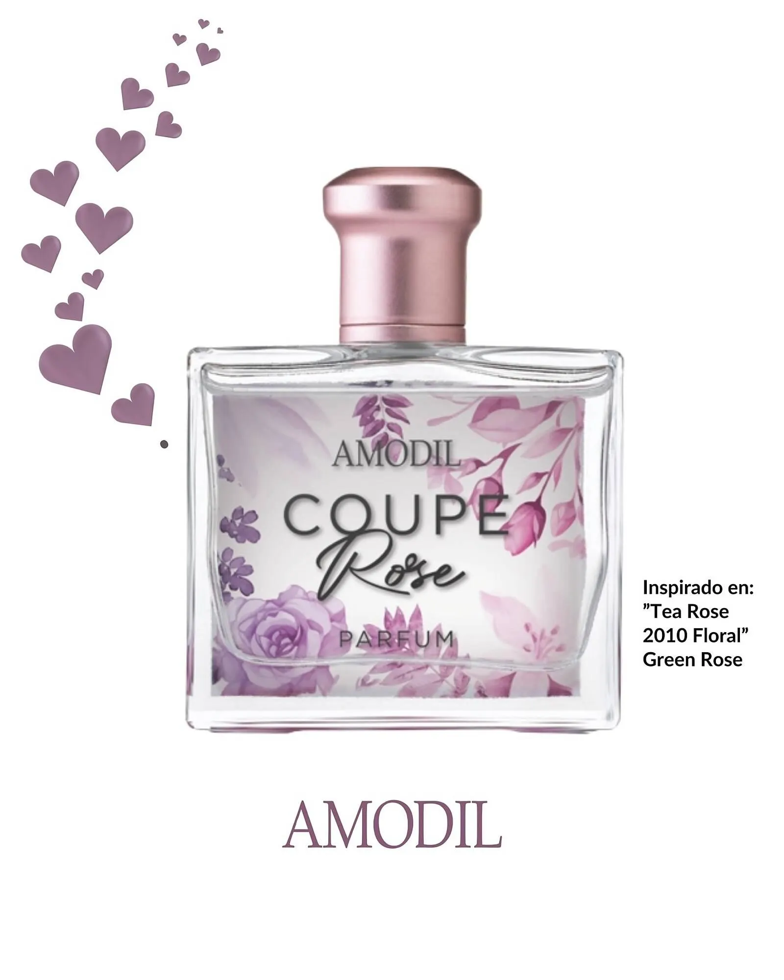 Ofertas de Catálogo Amodil 5 de mayo al 31 de mayo 2025 - Página 5 del catálogo