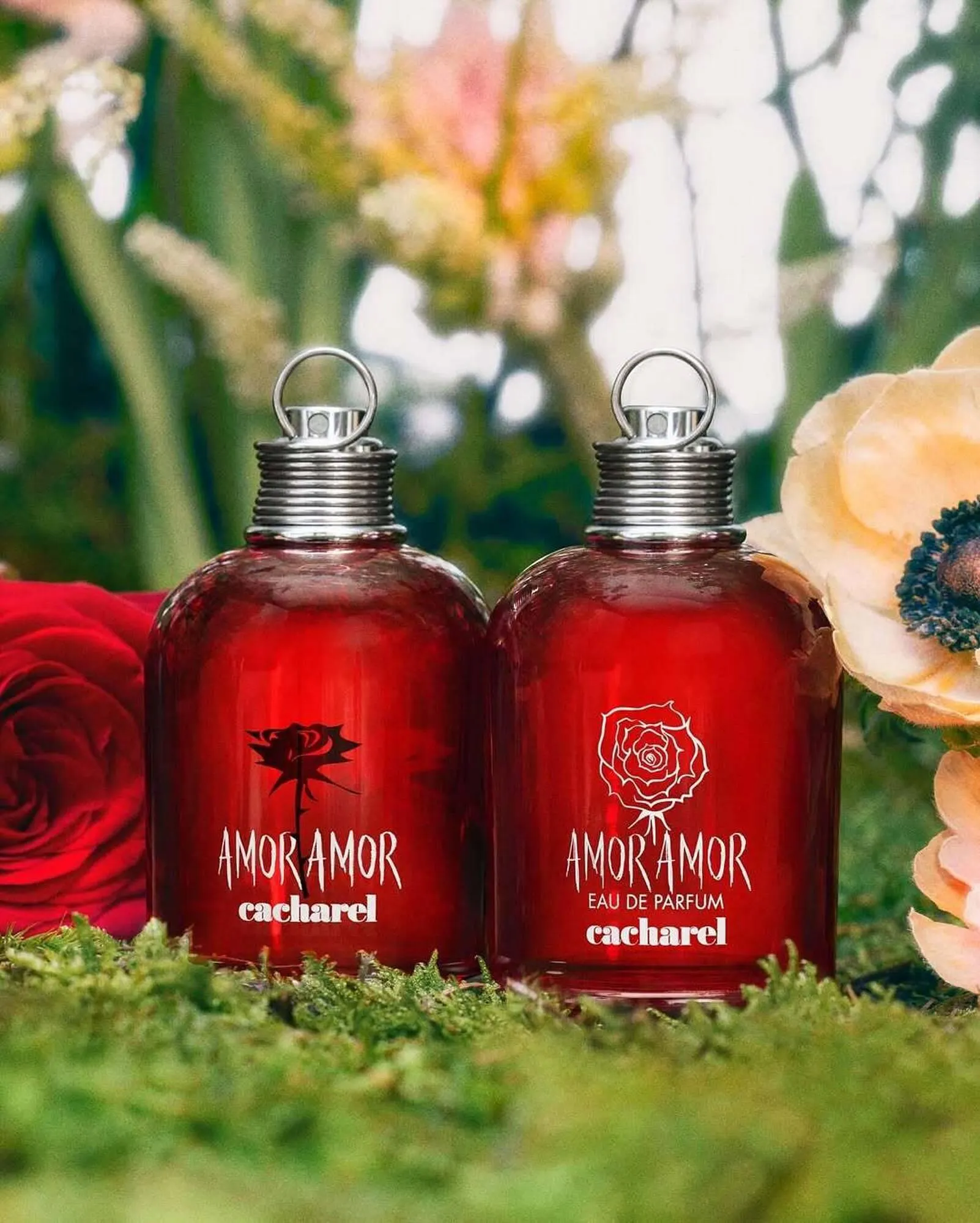 Catálogo Raffe Perfumerías - 1