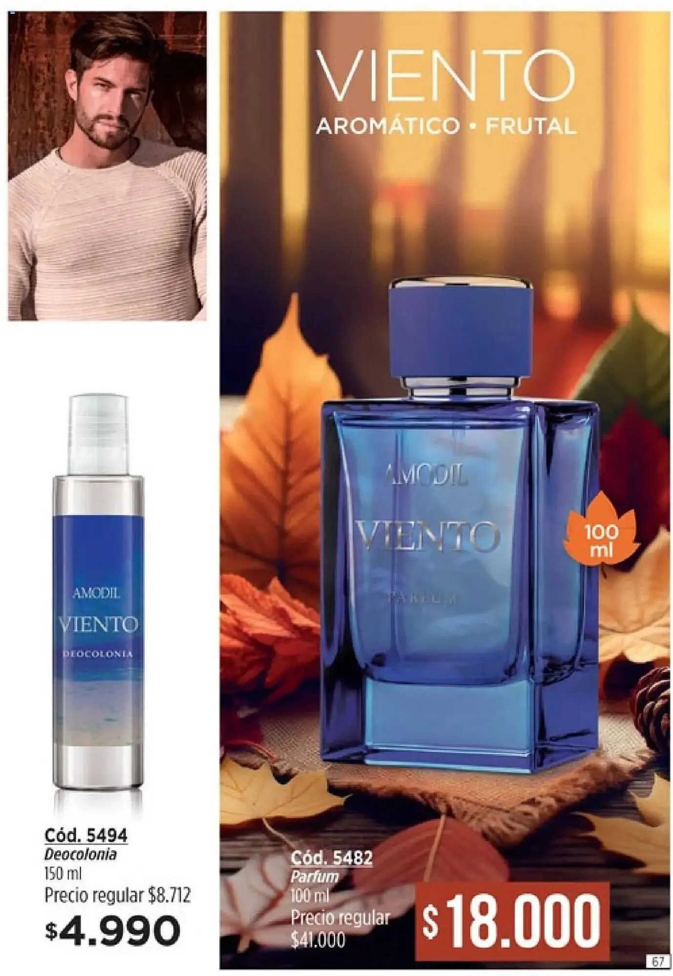 Ofertas de Catálogo Amodil 28 de febrero al 13 de marzo 2025 - Página 67 del catálogo