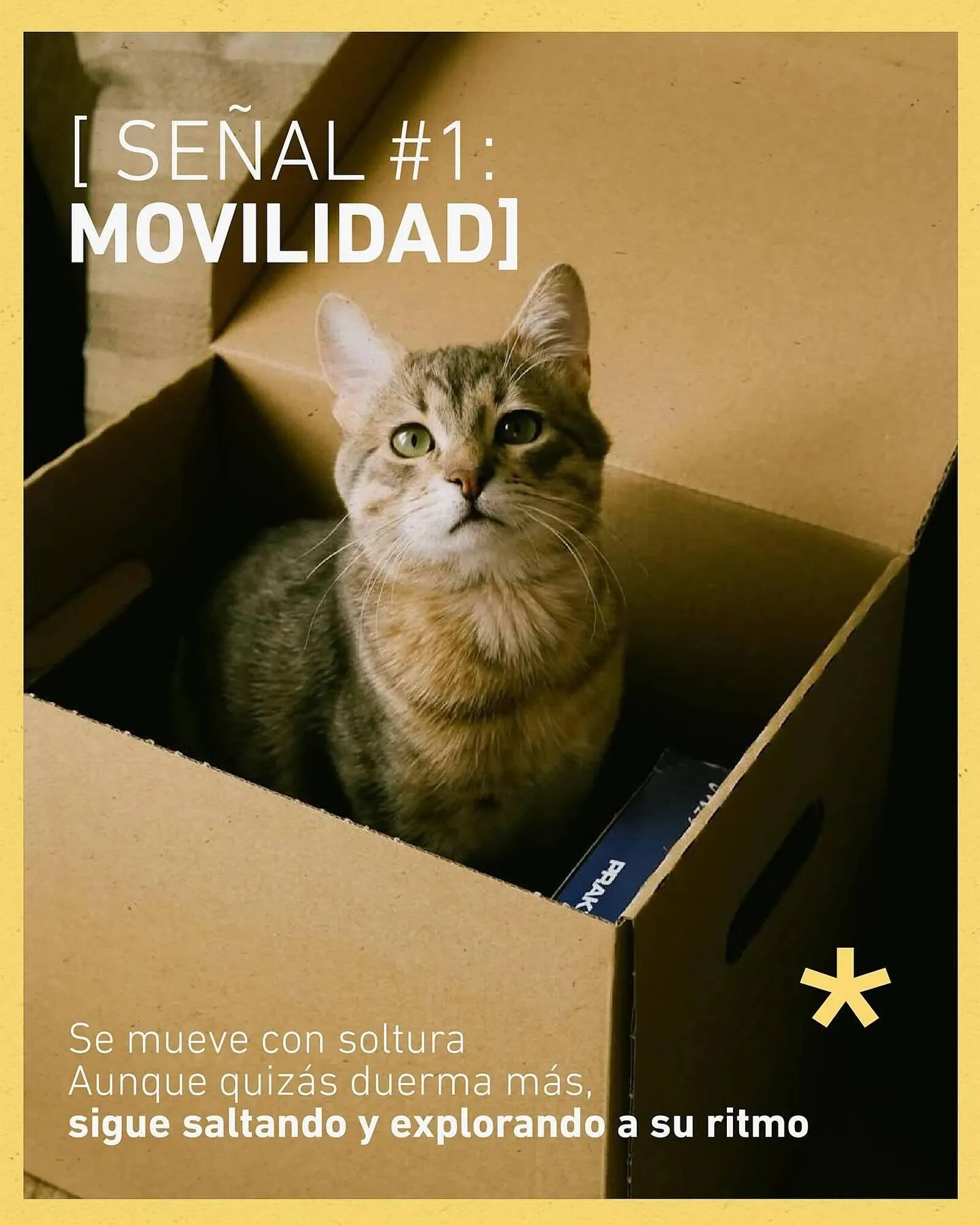 Ofertas de Catálogo Puppis 24 de junio al 30 de junio 2025 - Página 2 del catálogo