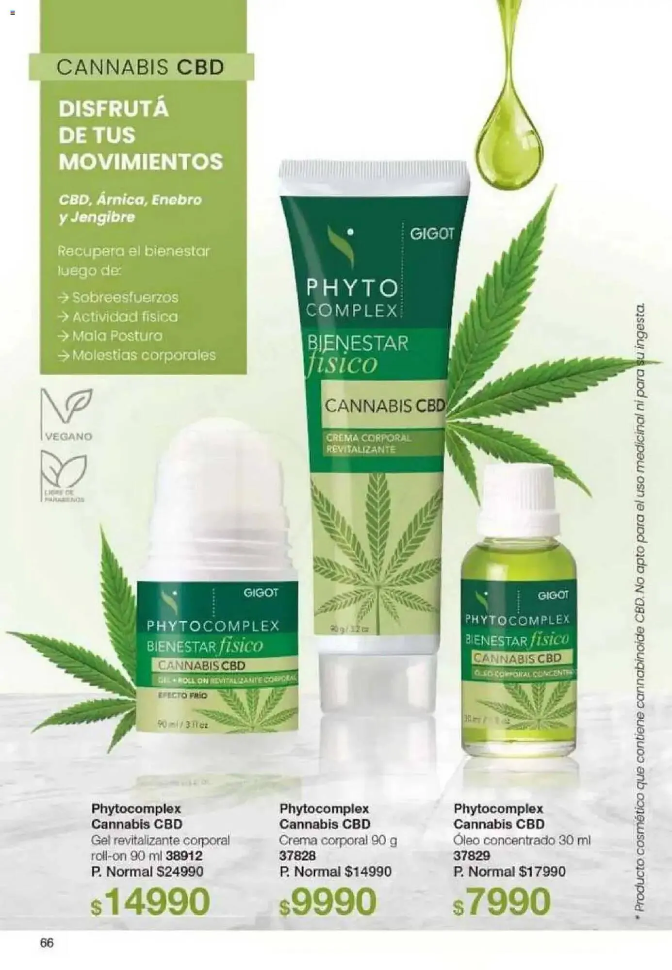 Ofertas de Catálogo Gigot 3 de abril al 16 de abril 2025 - Página 66 del catálogo