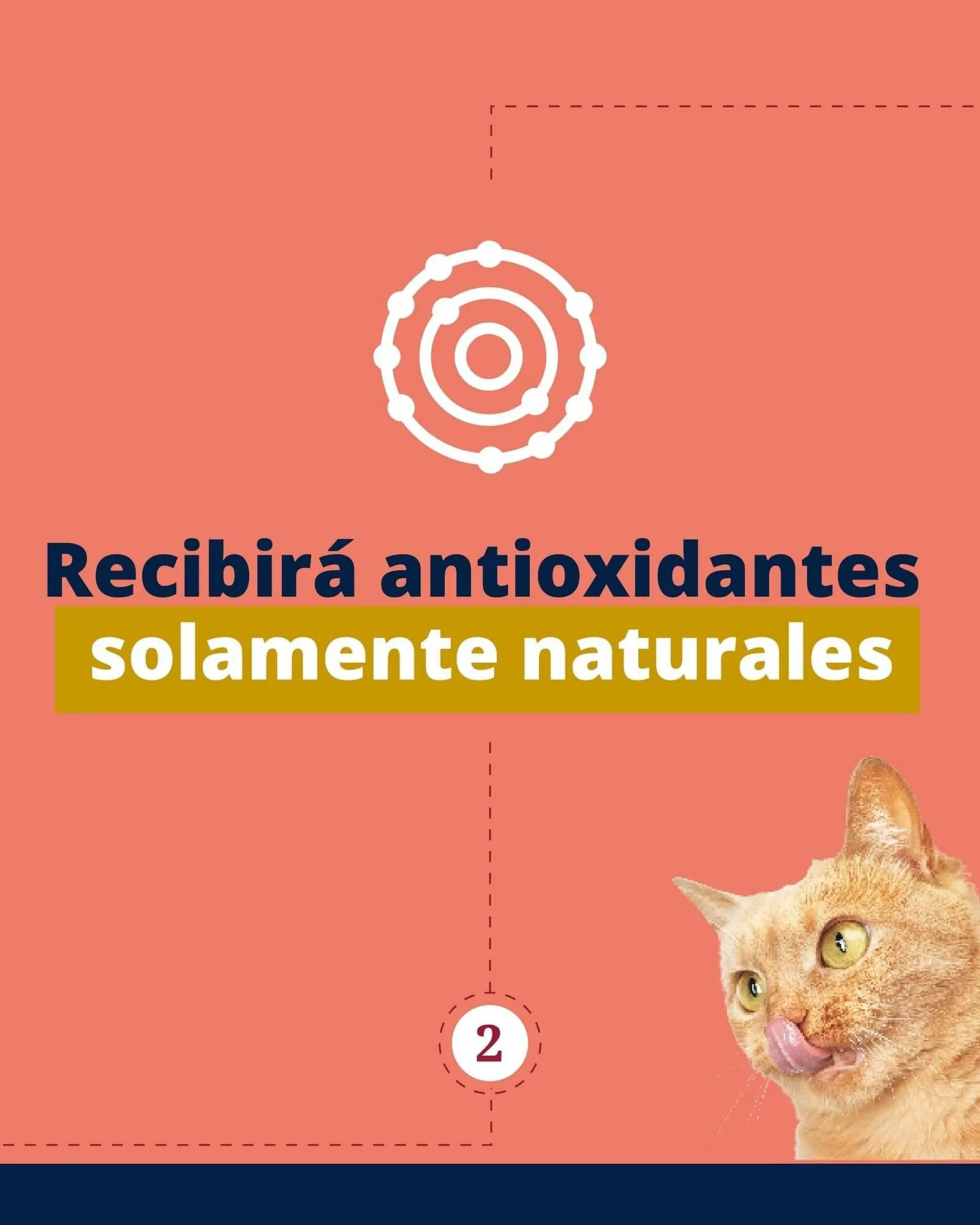 Ofertas de Catálogo Puppis 26 de febrero al 26 de febrero 2026 - Página 3 del catálogo