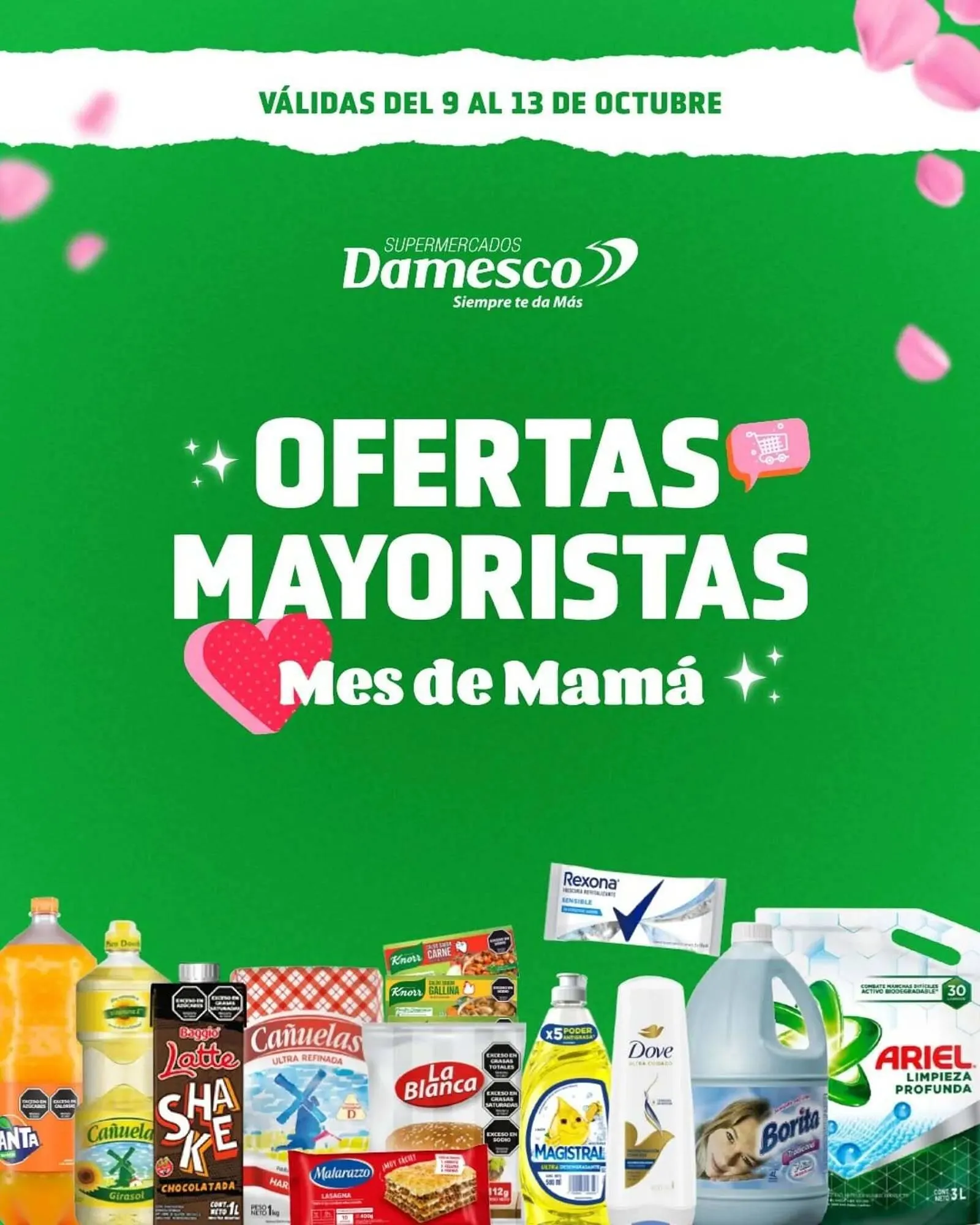 Catálogo Supermercados Damesco - 1