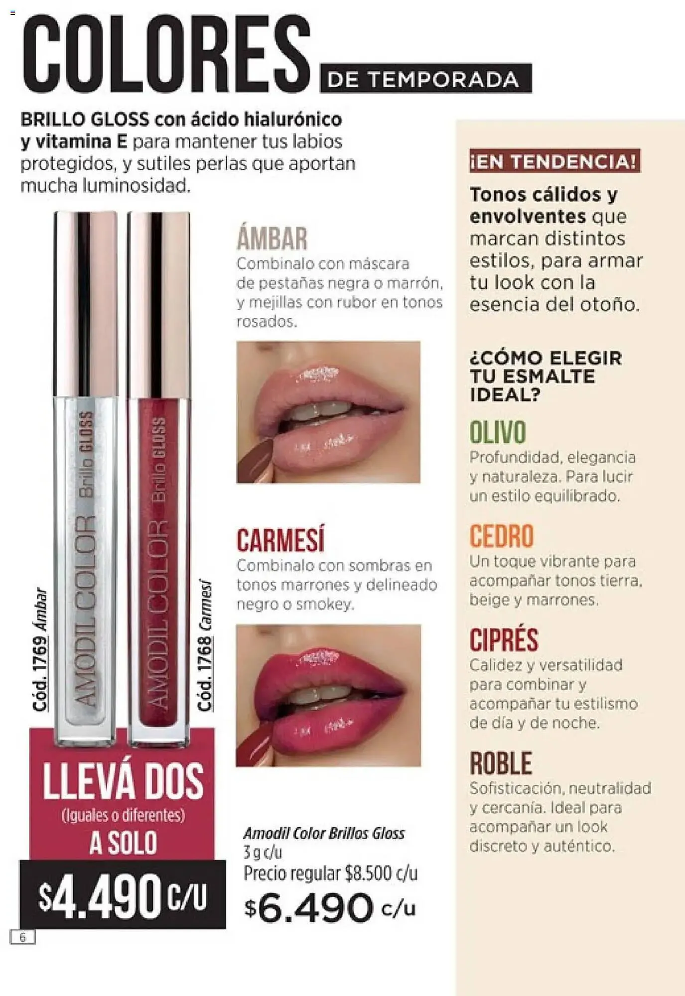 Ofertas de Catálogo Amodil 24 de marzo al 6 de abril 2025 - Página 6 del catálogo