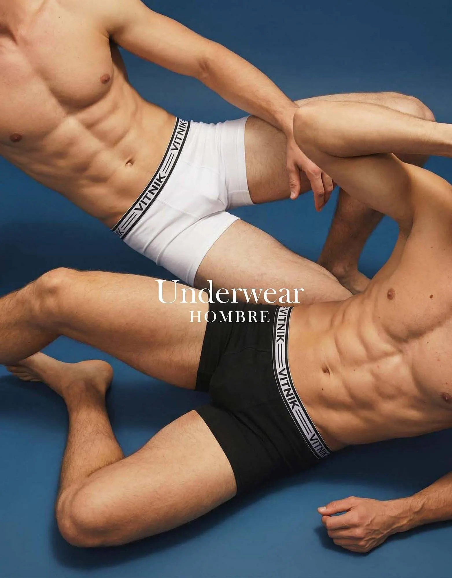 Ofertas de Catálogo Vitnik 31 de marzo al 30 de abril 2026 - Página 63 del catálogo