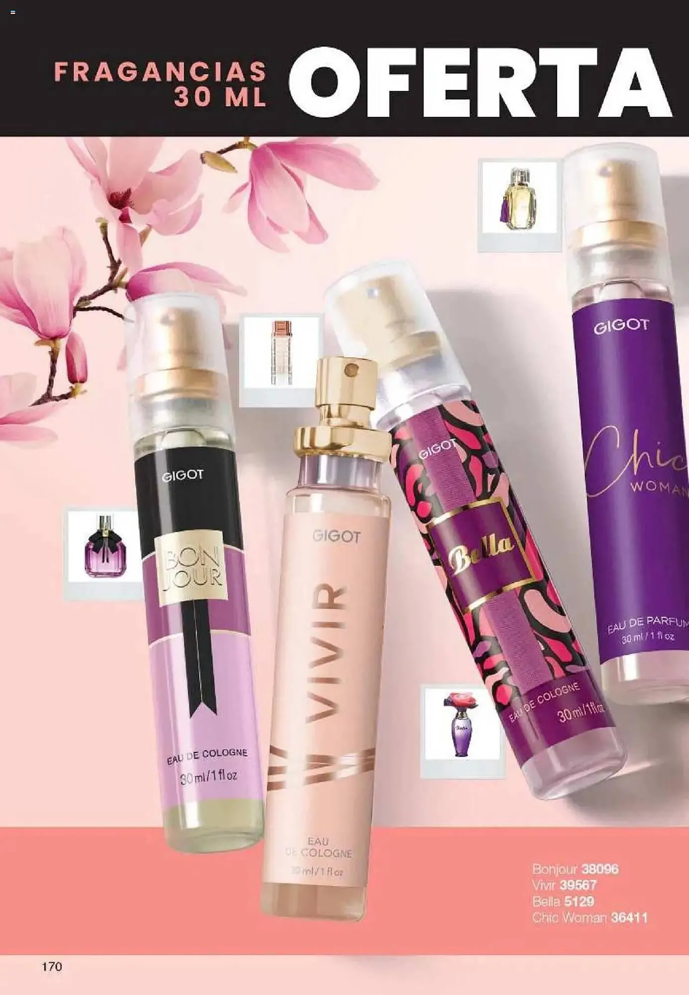 Ofertas de Catálogo Gigot 7 de abril al 20 de abril 2025 - Página 342 del catálogo