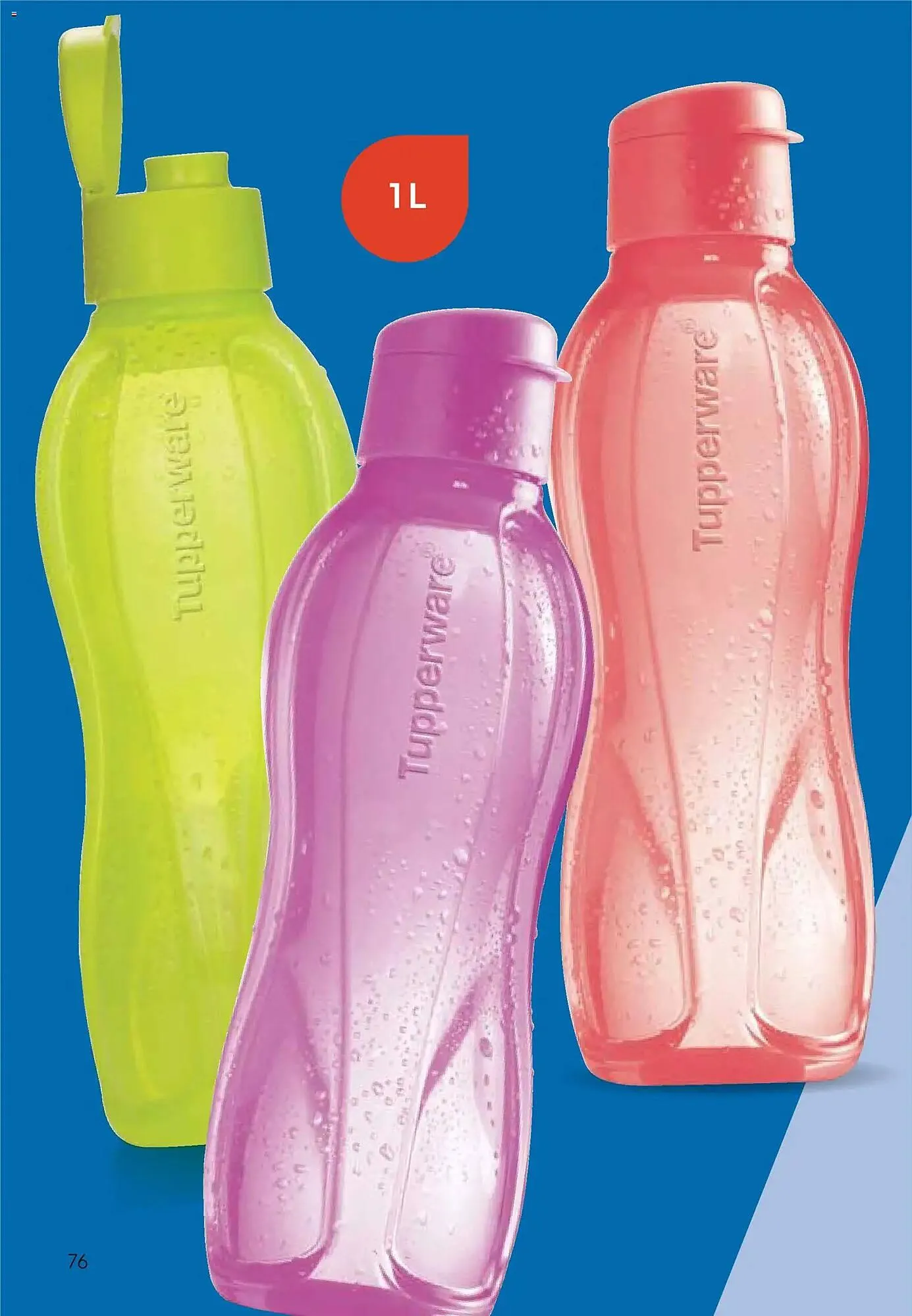 Ofertas de Folleto Tupperware 24 de noviembre al 31 de diciembre 2025 - Página 77 del catálogo