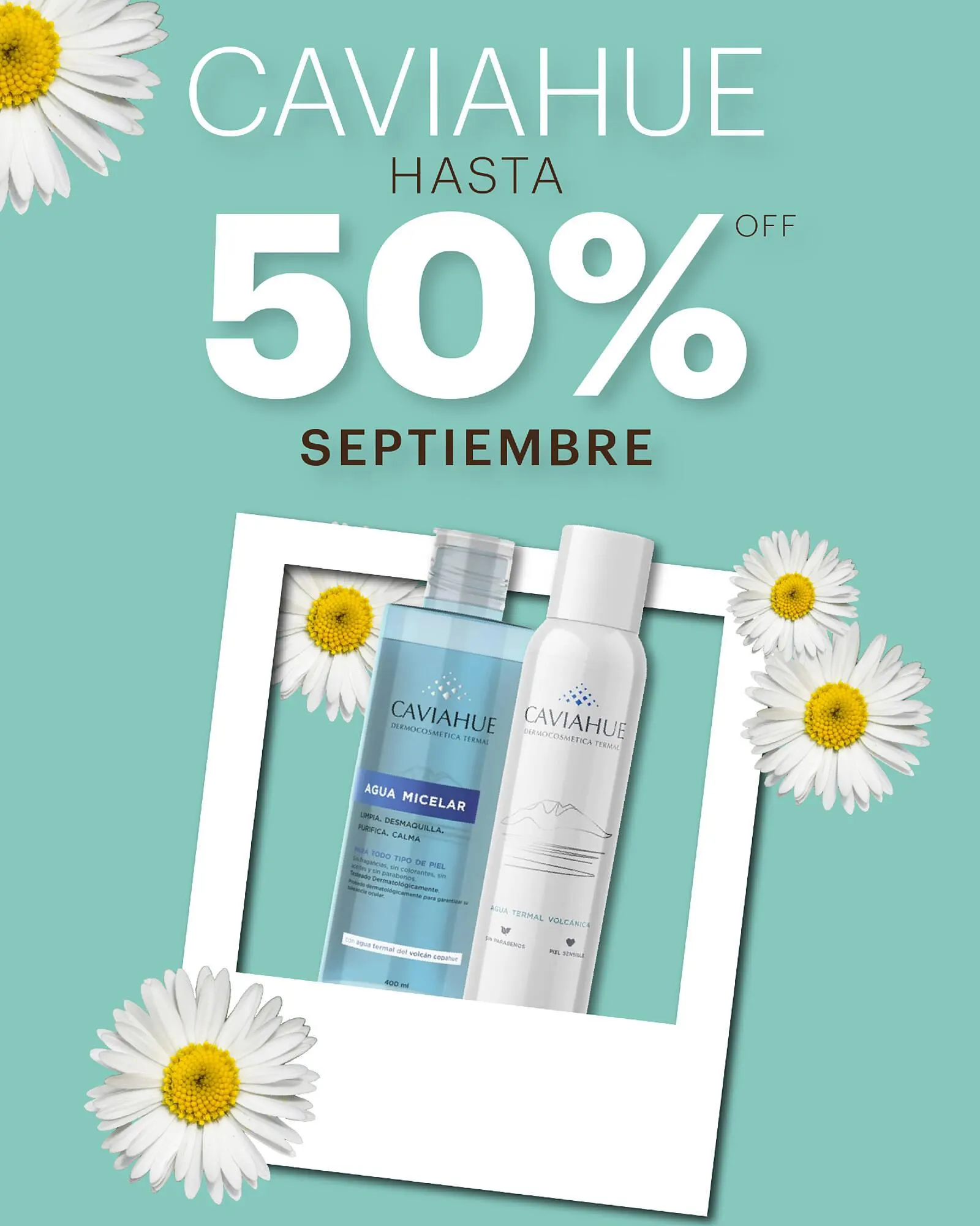 Catálogo Riadigos - 1