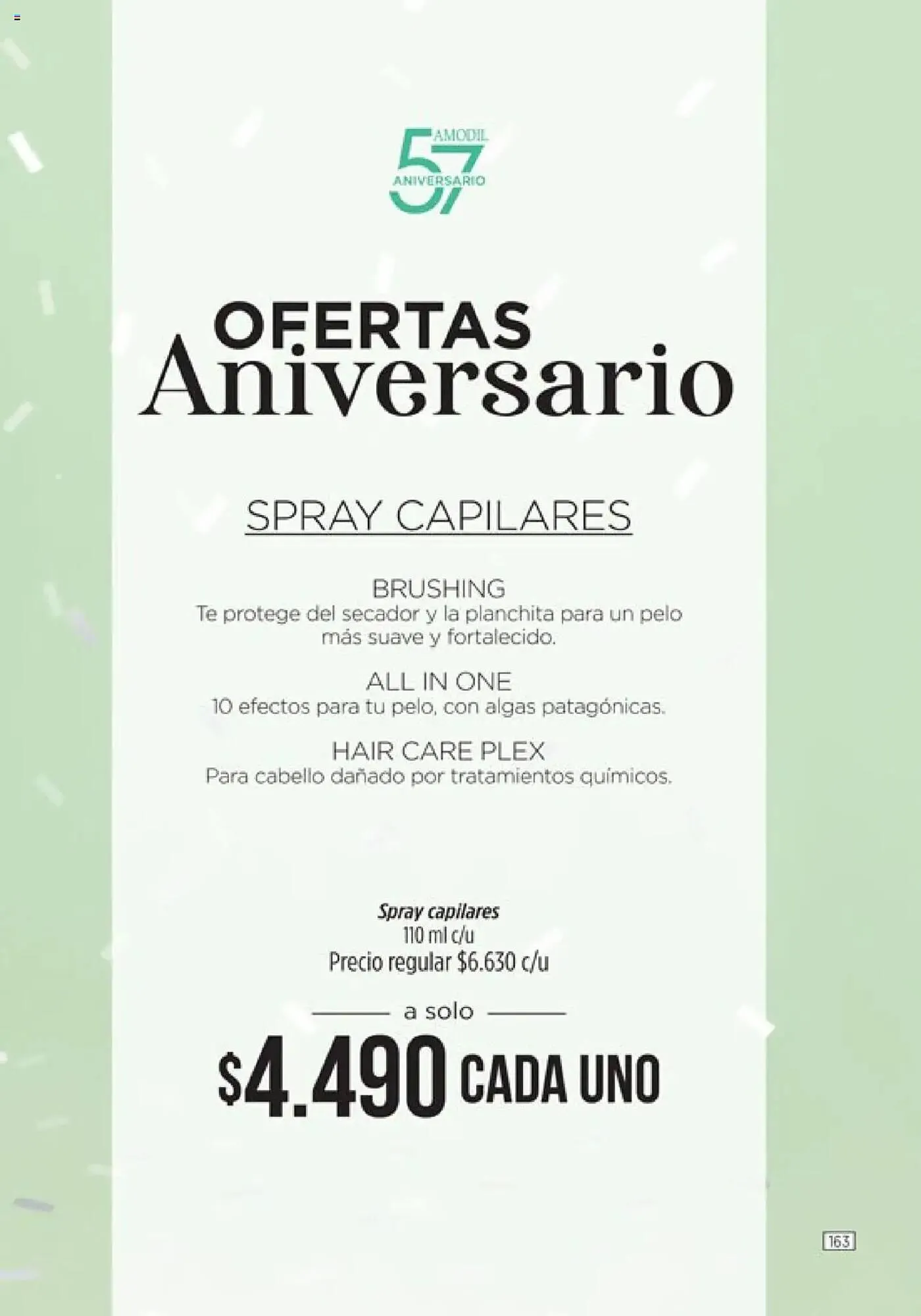 Ofertas de Catálogo Amodil 27 de mayo al 18 de junio 2025 - Página 163 del catálogo