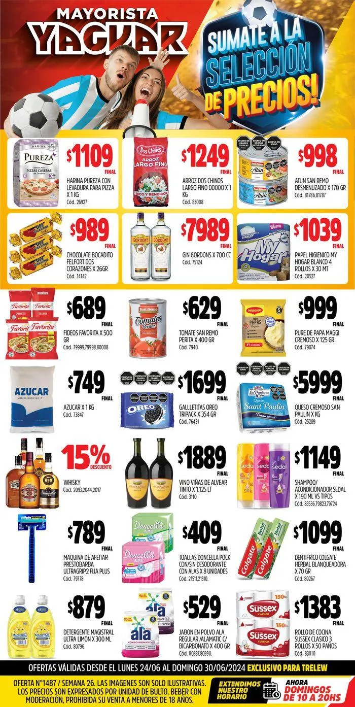 Ofertas de Ofertas Supermercados Yaguar Trelew 24 de junio al 30 de junio 2024 - Página 1 del catálogo