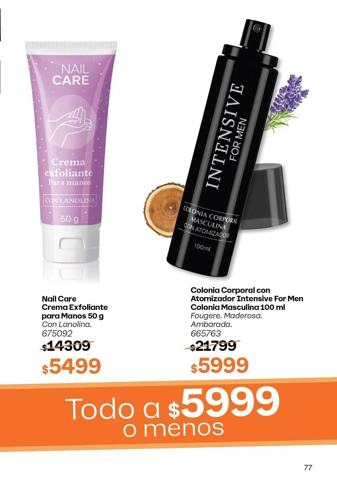 Ofertas de Catálogo Tupperware 18 de marzo al 31 de marzo 2025 - Página 78 del catálogo