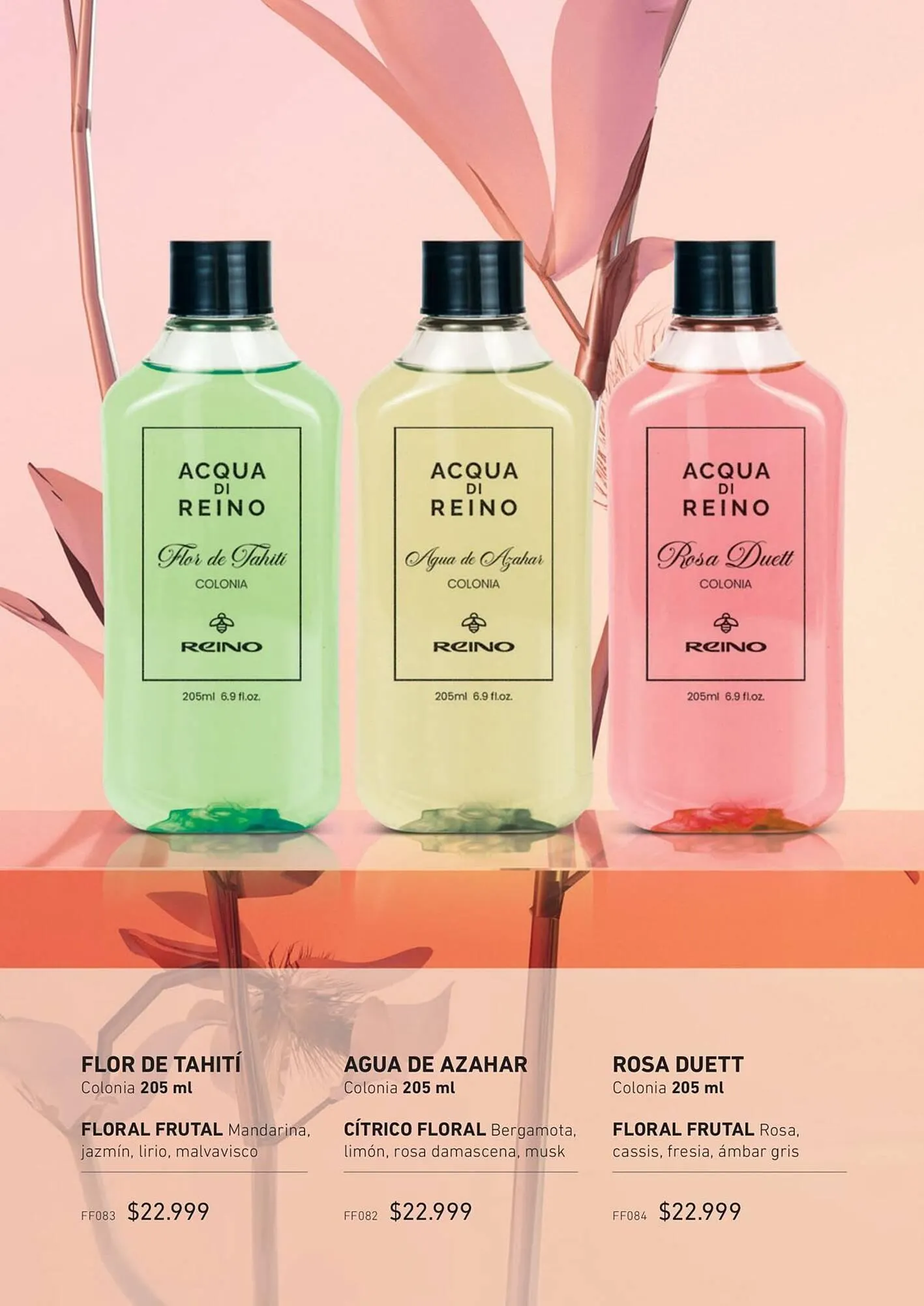 Ofertas de Catálogo Reino Cosmética 9 de abril al 22 de abril 2025 - Página 152 del catálogo