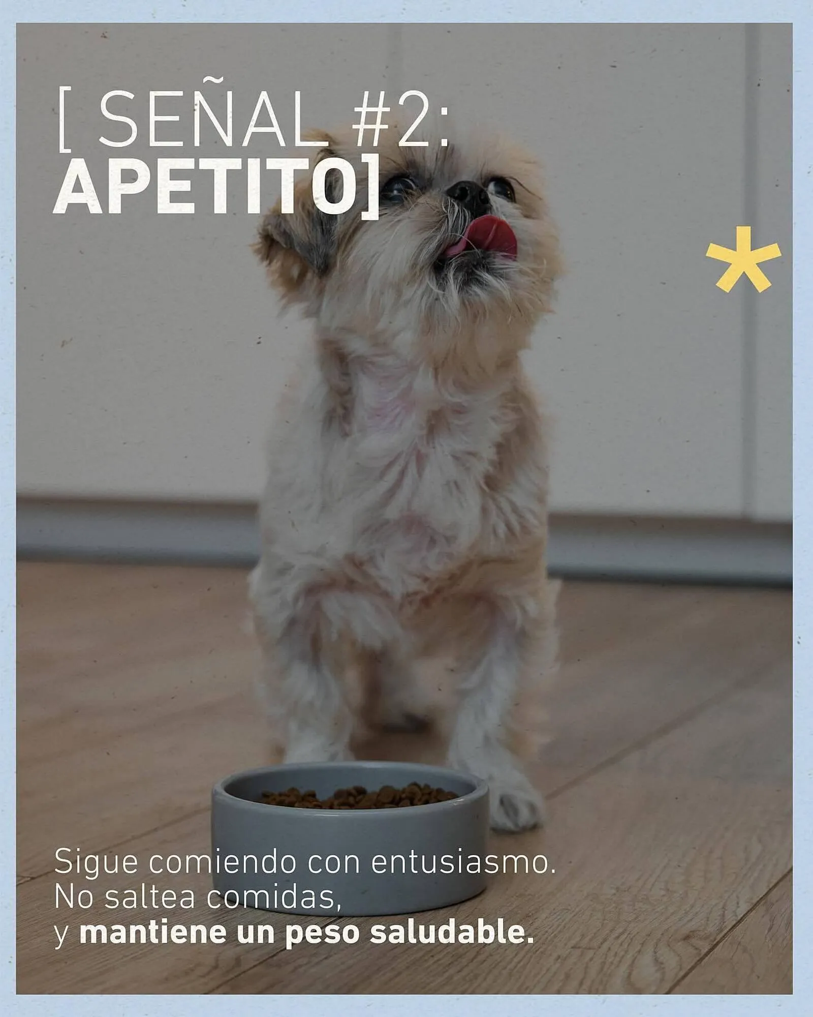 Ofertas de Catálogo Puppis 11 de junio al 15 de junio 2025 - Página 3 del catálogo