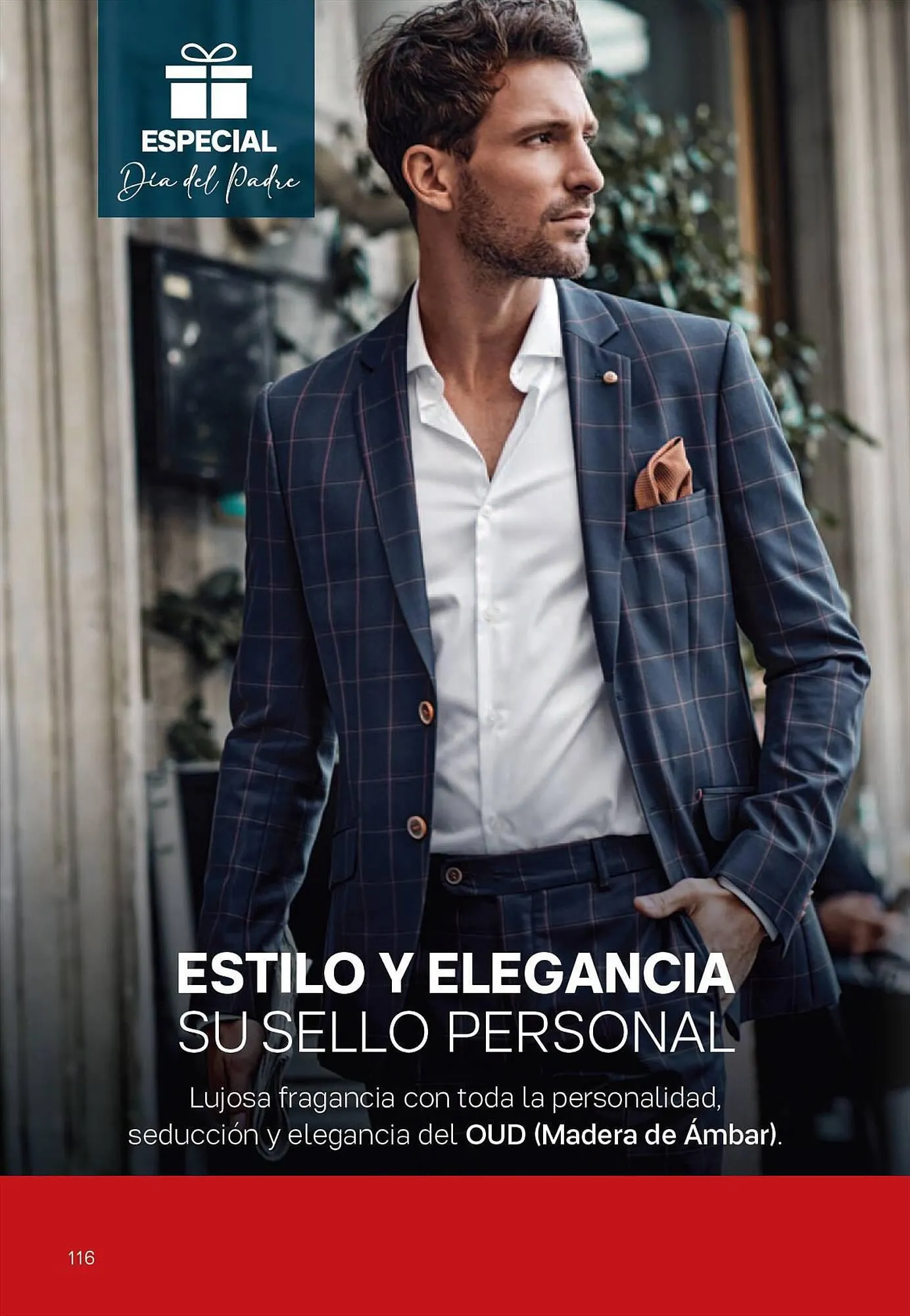 Ofertas de Catálogo Tupperware 4 de julio al 15 de agosto 2023 - Página 117 del catálogo