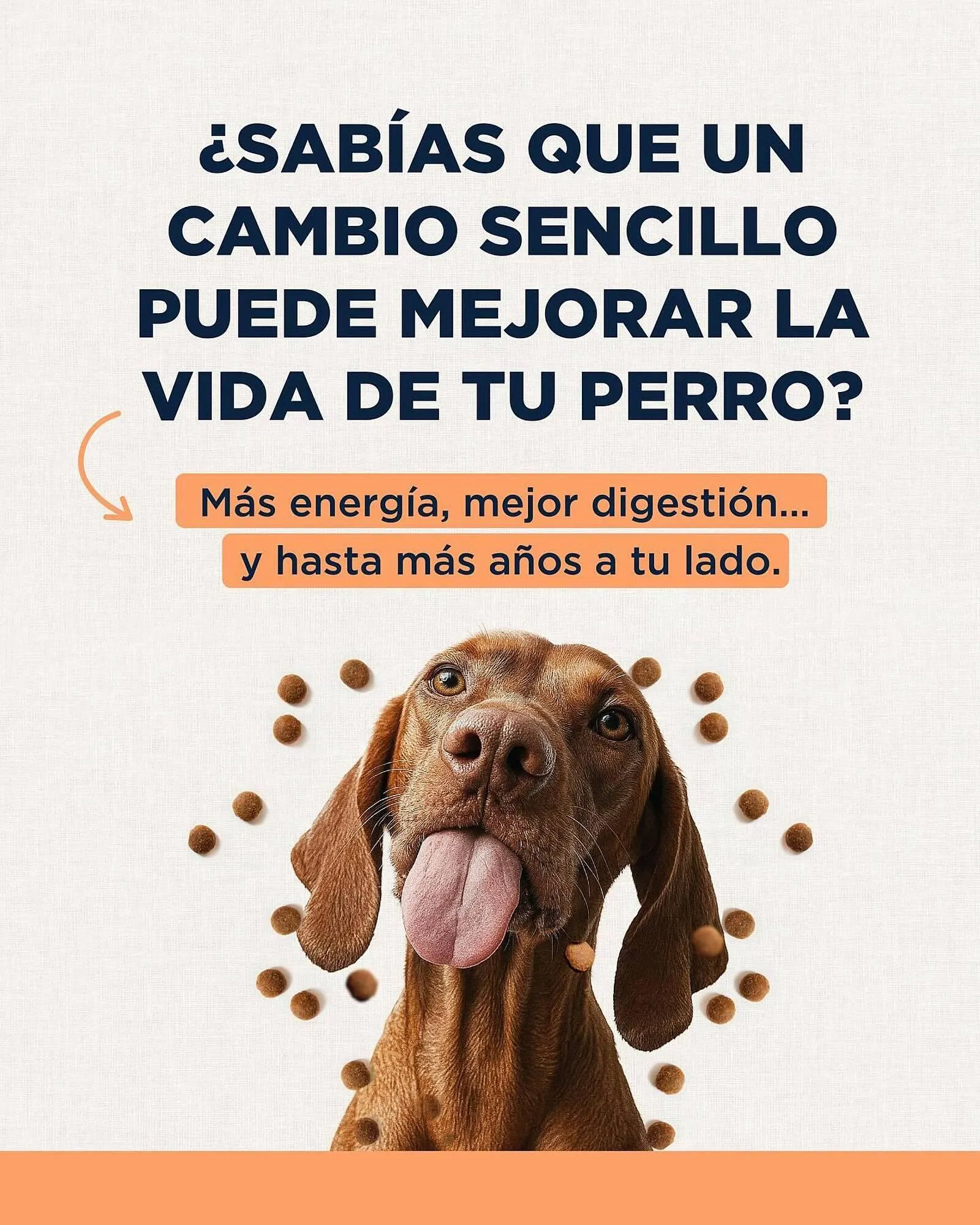 Catálogo Puppis - 1