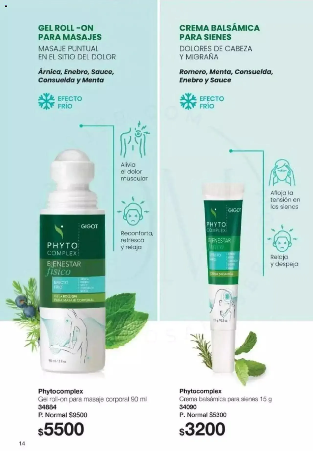 Ofertas de Gigot catálogo 2 de abril al 31 de diciembre 2024 - Página 14 del catálogo