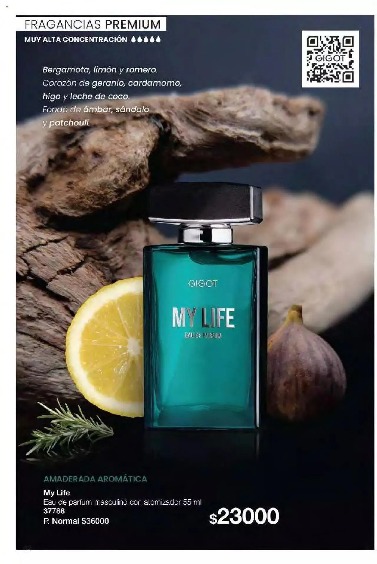 Ofertas de Gigot folleto 6 12 de marzo al 31 de diciembre 2024 - Página 42 del catálogo