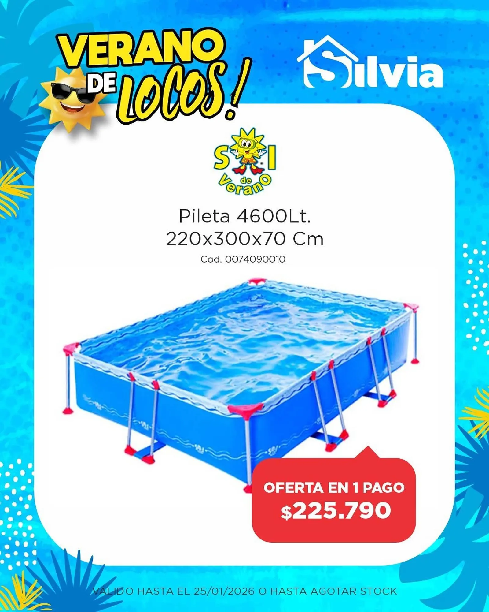 Ofertas de Catálogo Casa Silvia 8 de enero al 25 de enero 2026 - Página 4 del catálogo