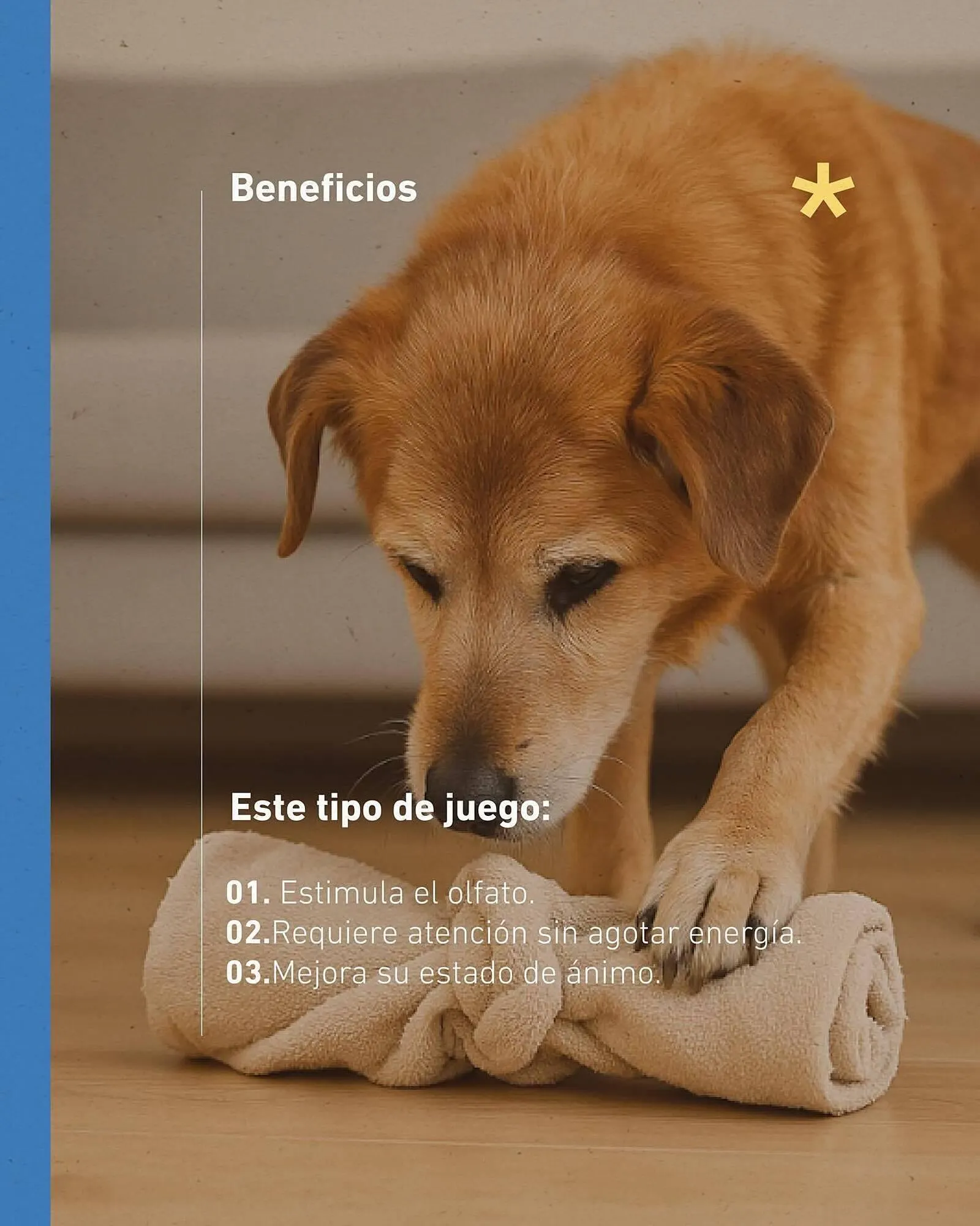 Ofertas de Catálogo Puppis 4 de julio al 31 de julio 2025 - Página 5 del catálogo