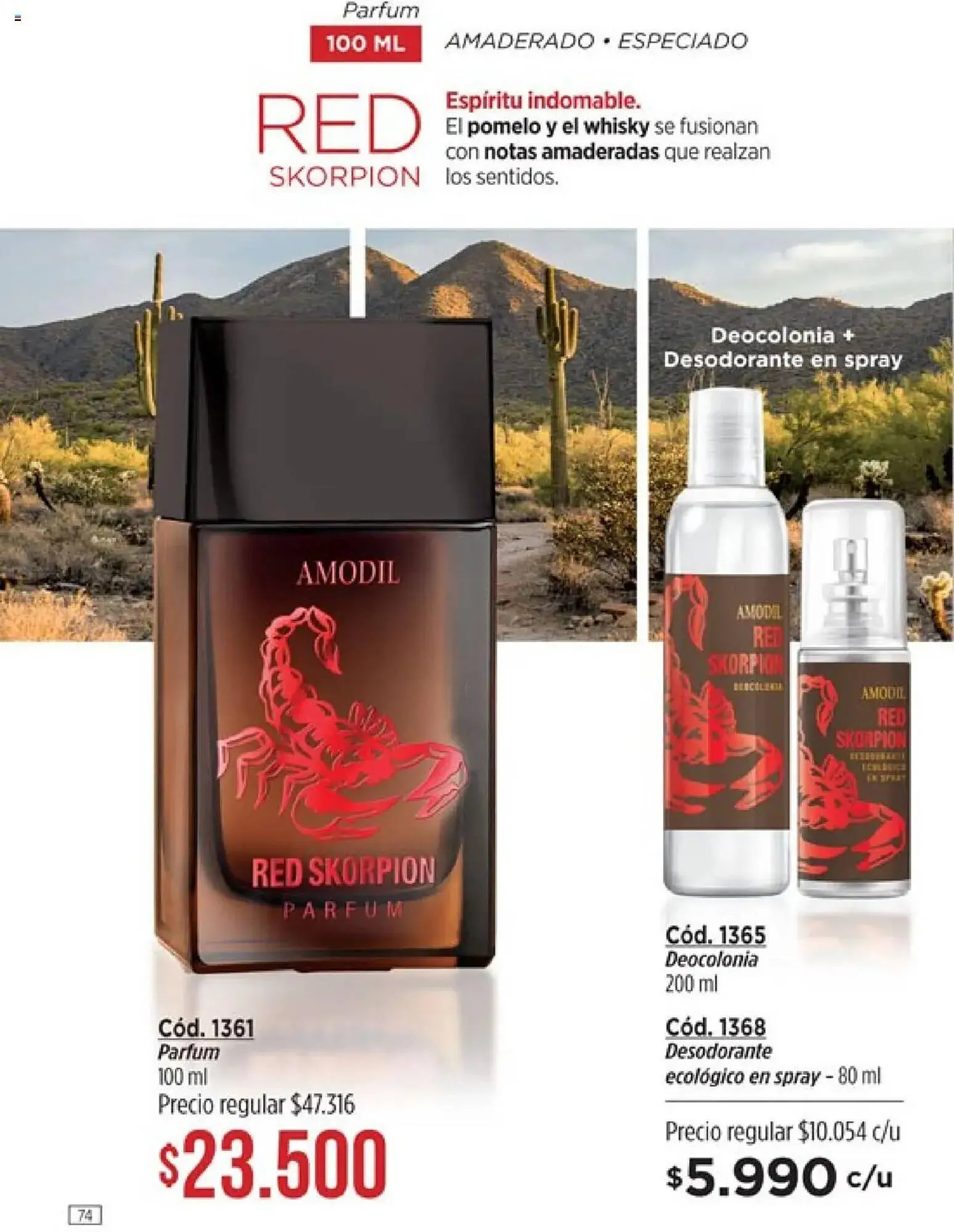 Ofertas de Catálogo Amodil 26 de junio al 21 de julio 2025 - Página 74 del catálogo