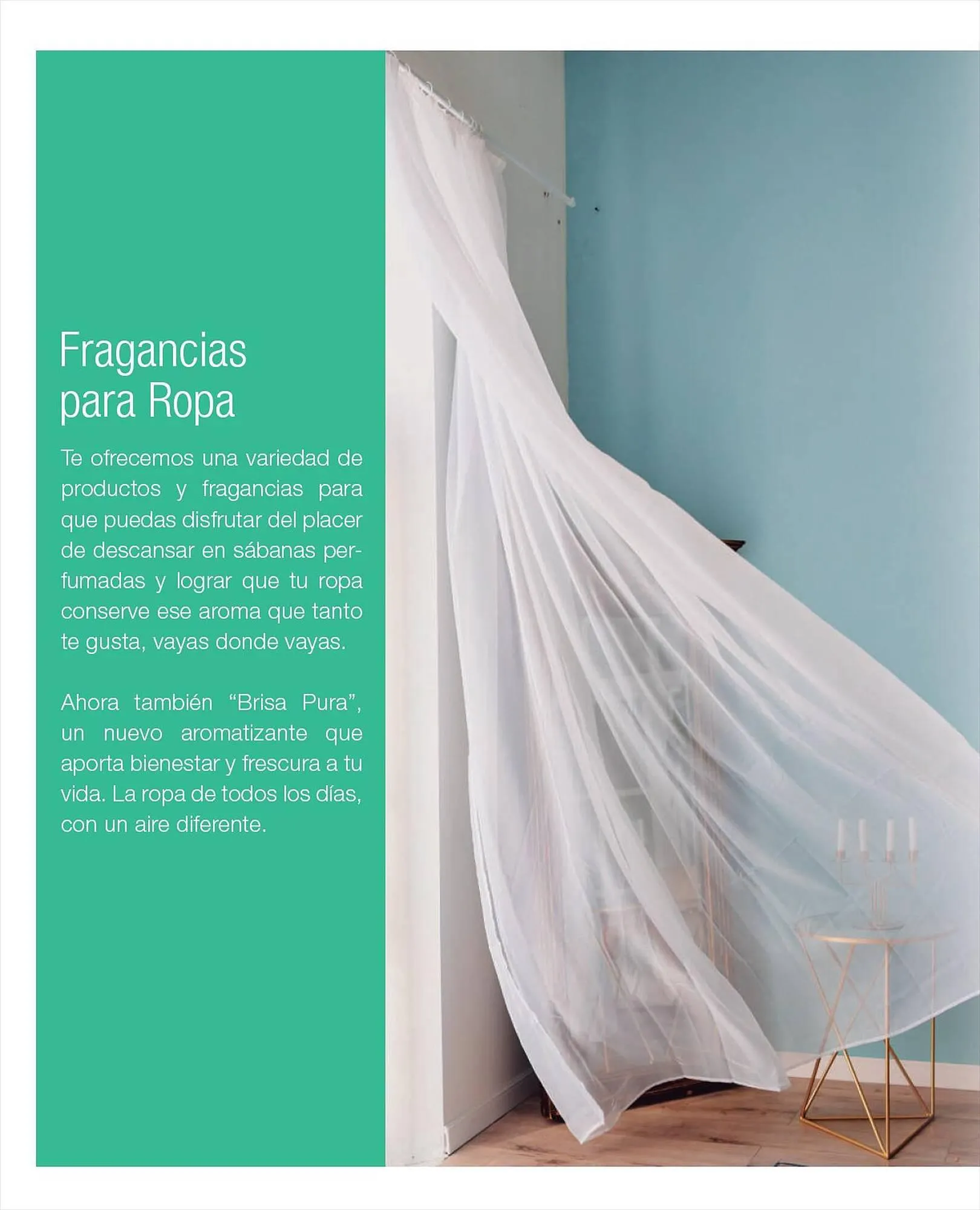 Ofertas de Catálogo Biogreen 27 de julio al 30 de julio 2023 - Página 4 del catálogo