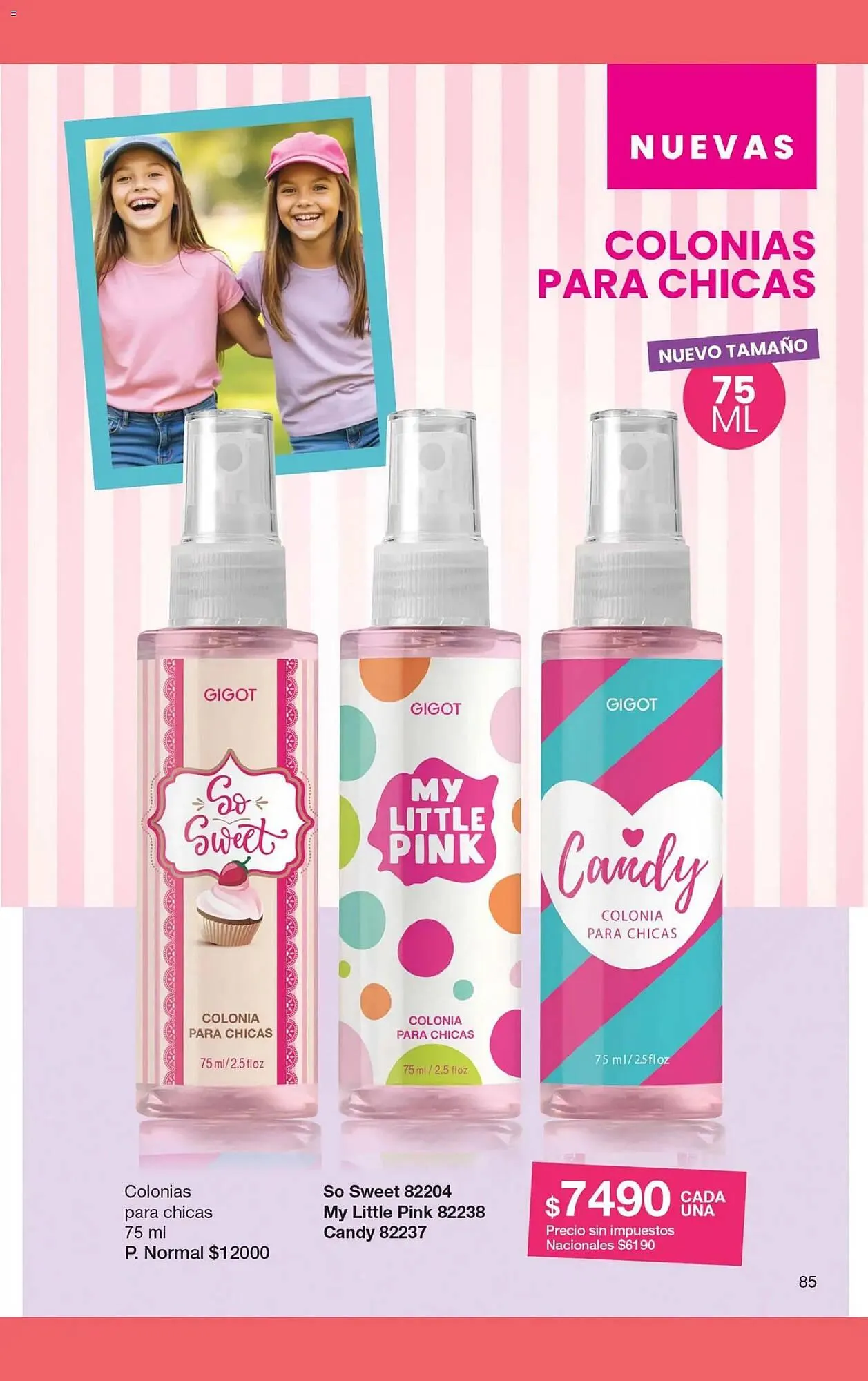 Ofertas de Folleto Gigot 30 de abril al 17 de mayo 2026 - Página 41 del catálogo