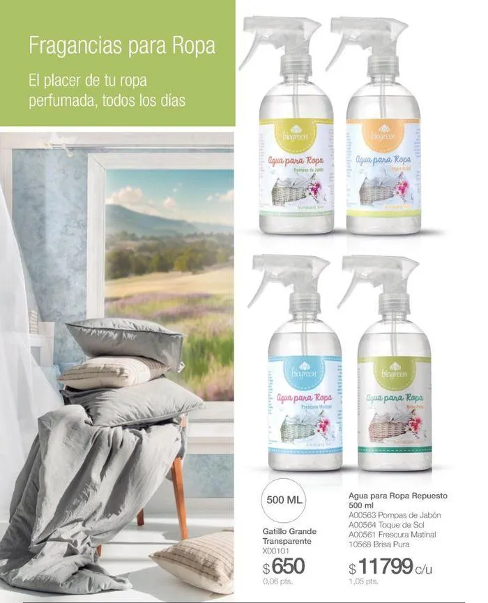 Ofertas de Catálogo de productos Biogreen! 27 de agosto al 11 de septiembre 2024 - Página 28 del catálogo