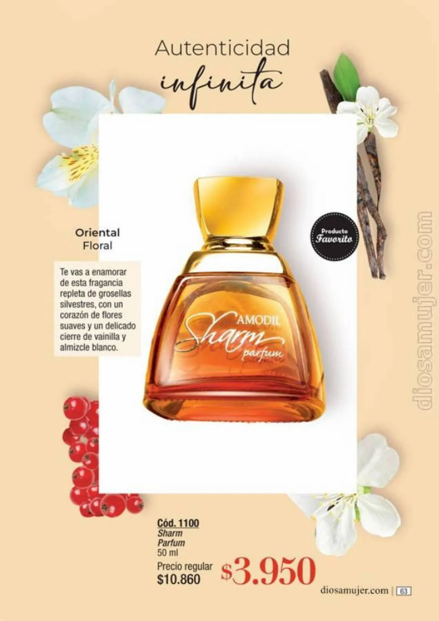 Ofertas de Catálogo Amodil 6 de septiembre al 10 de octubre 2023 - Página 63 del catálogo