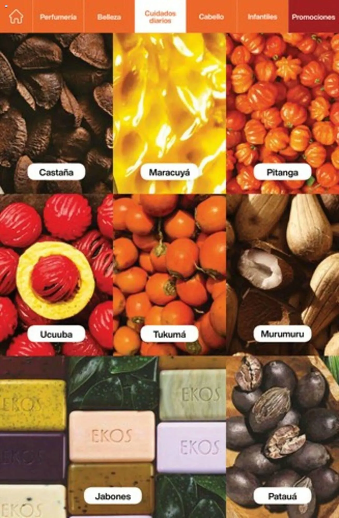 Ofertas de Catálogo Natura 15 de febrero al 28 de febrero 2024 - Página 92 del catálogo