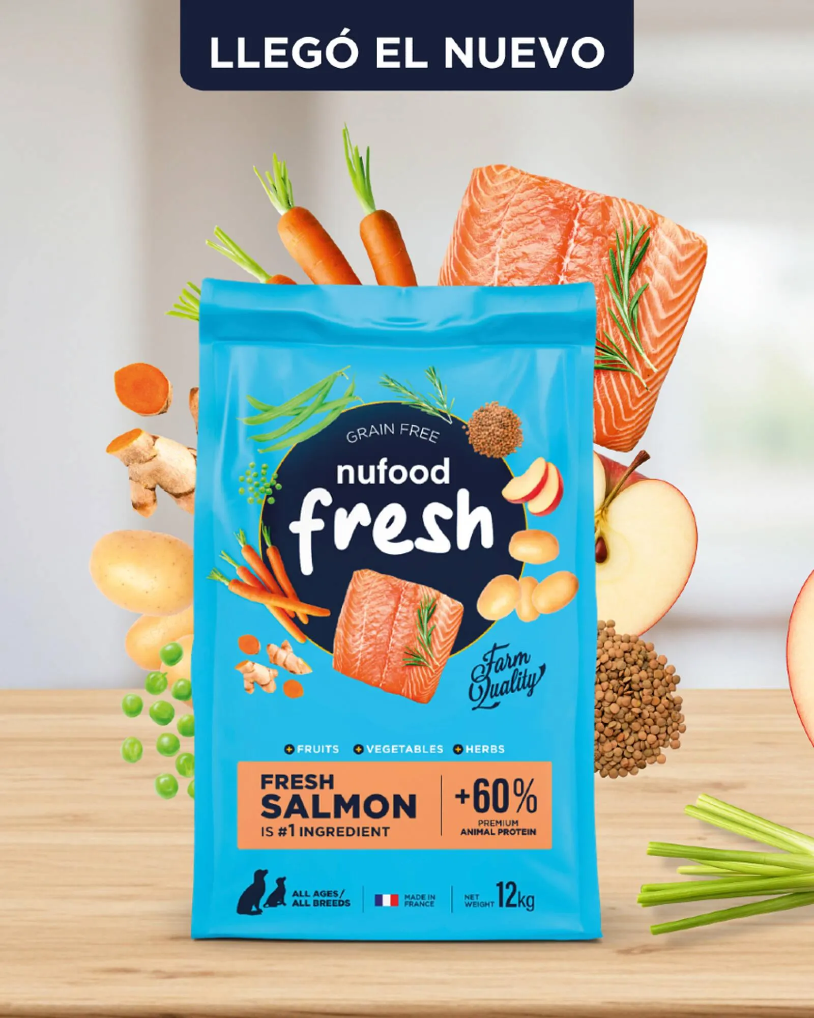 Catálogo Puppis - 1