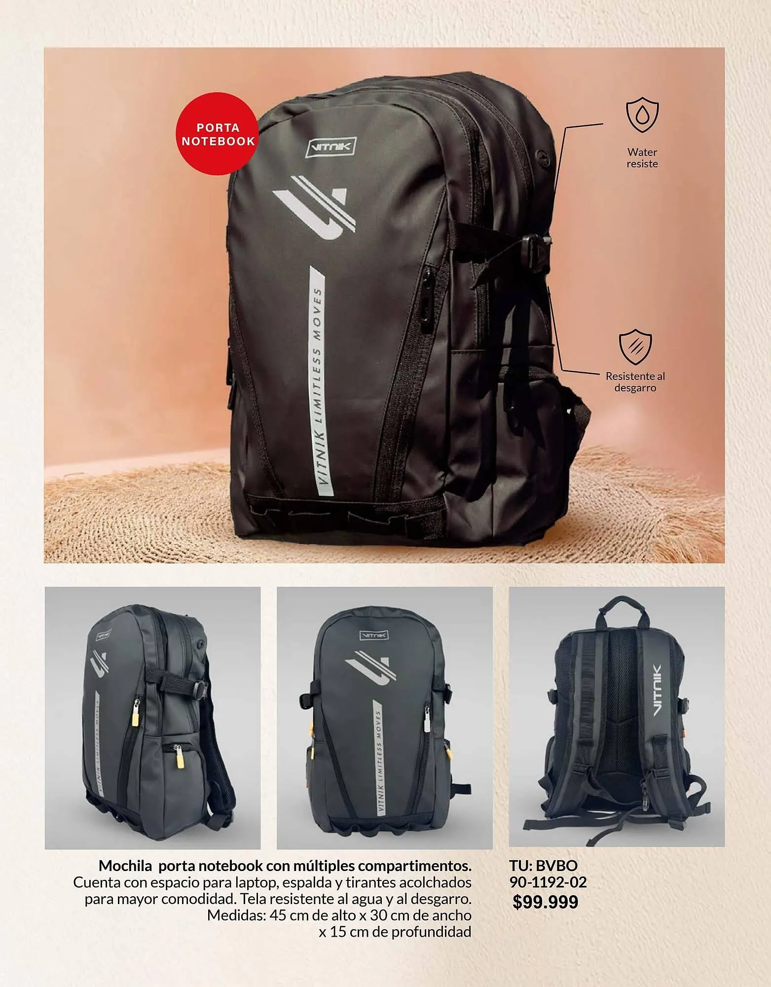 Ofertas de Catálogo Vitnik 31 de marzo al 30 de abril 2026 - Página 21 del catálogo