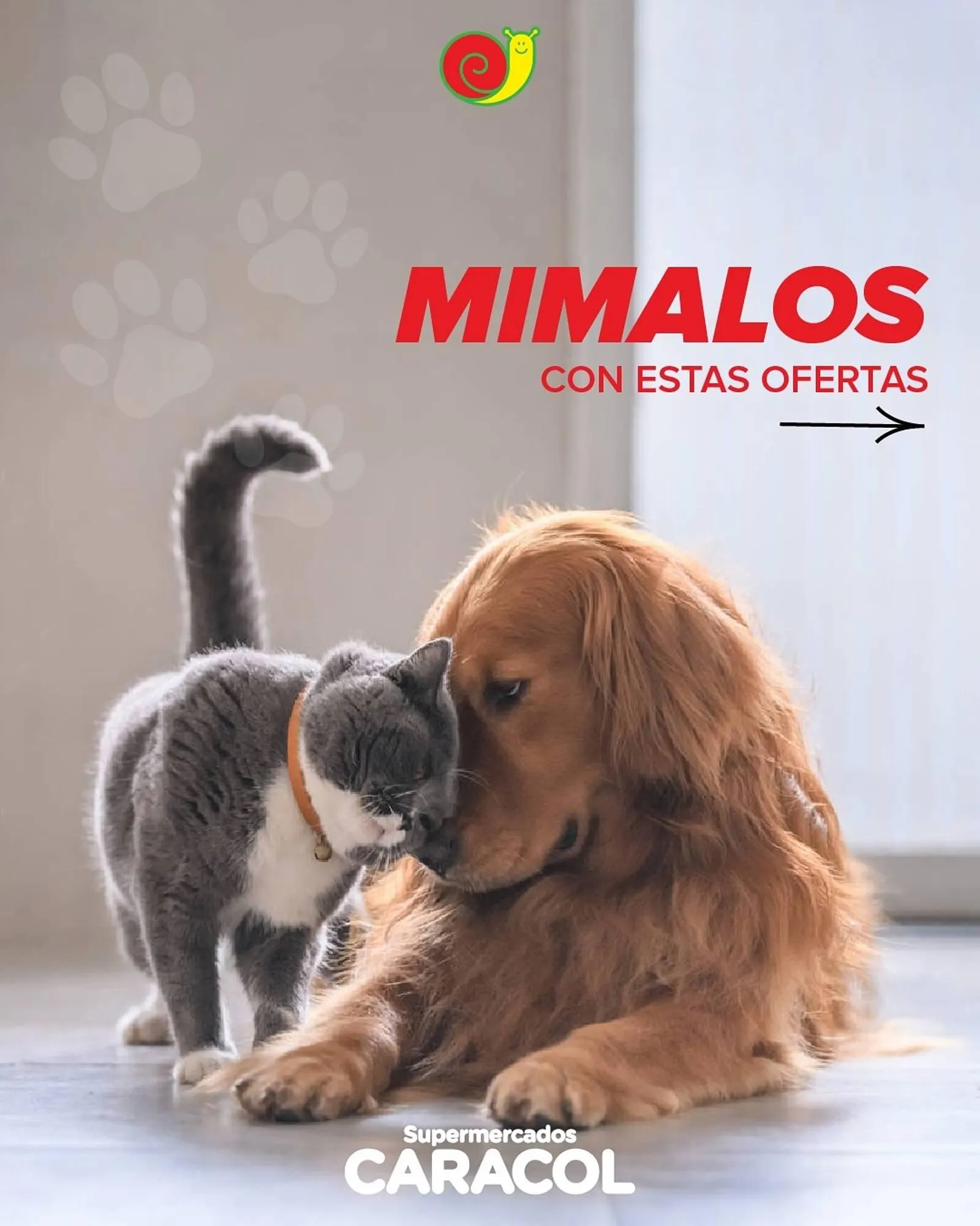 Catálogo Supermercados Caracol - 1