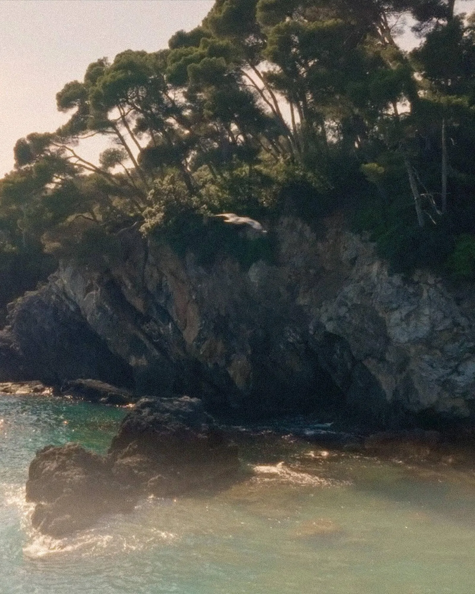 Ofertas de Catálogo La Martina 30 de mayo al 5 de junio 2025 - Página 3 del catálogo