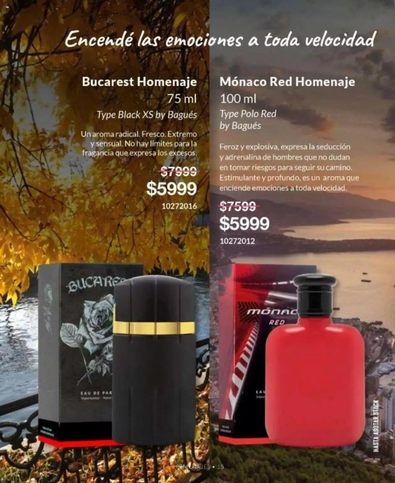 Ofertas de Bagués catálogo 17 de abril al 31 de diciembre 2023 - Página 115 del catálogo