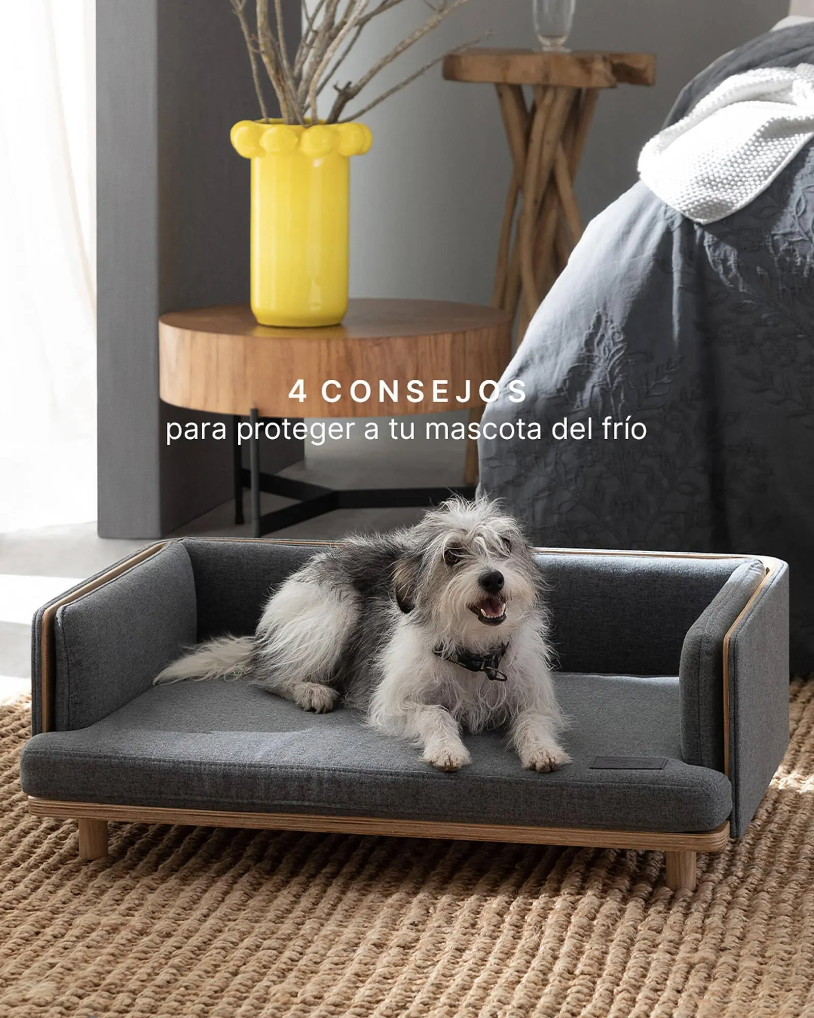 Ofertas de Catálogo Rosen 9 de julio al 15 de julio 2025 - Página 1 del catálogo