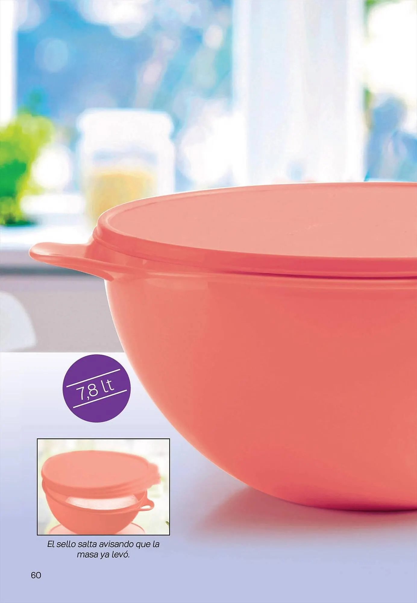 Ofertas de Catálogo Tupperware 25 de septiembre al 31 de octubre 2023 - Página 61 del catálogo