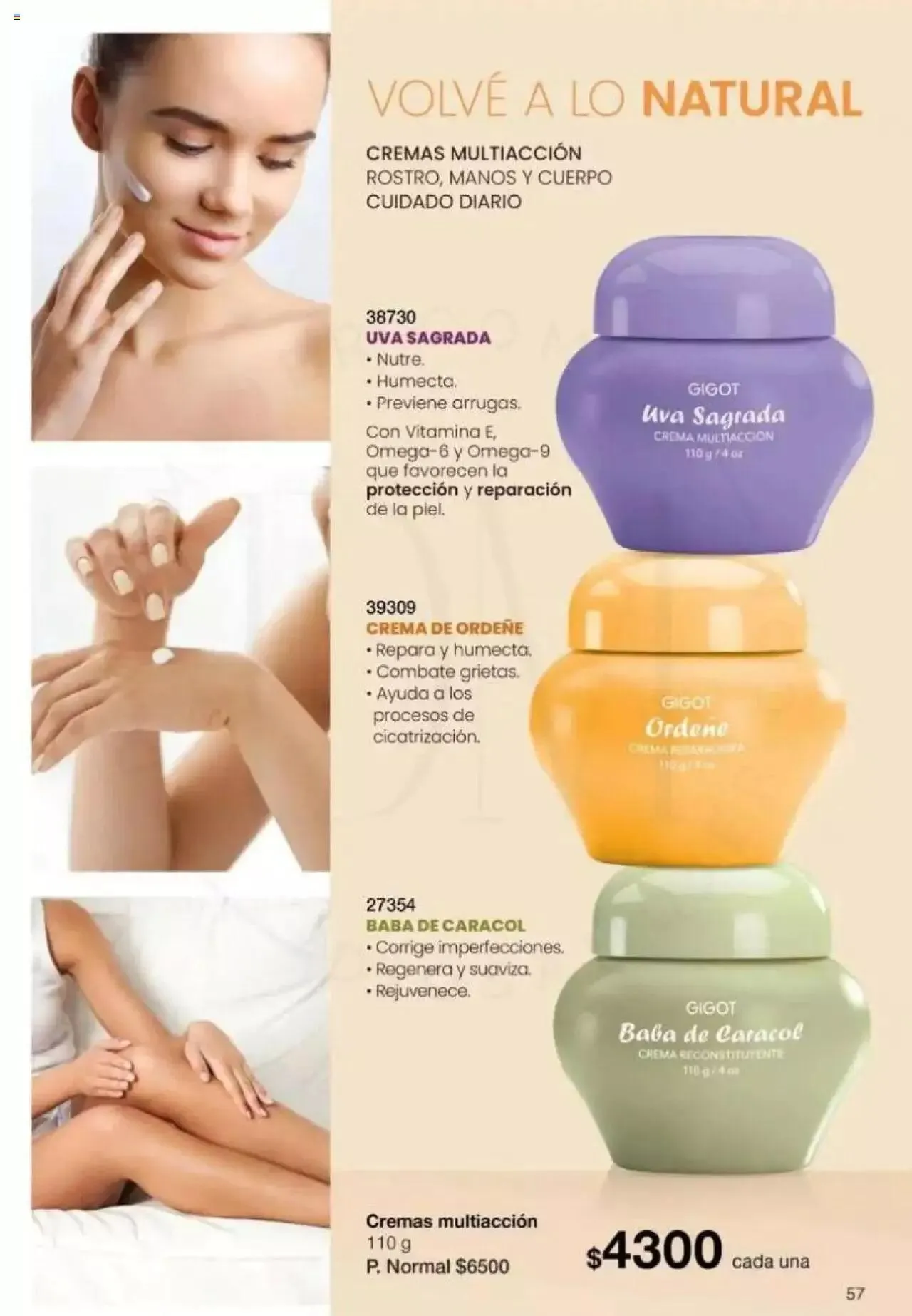 Ofertas de Gigot catálogo 2 de abril al 31 de diciembre 2024 - Página 57 del catálogo