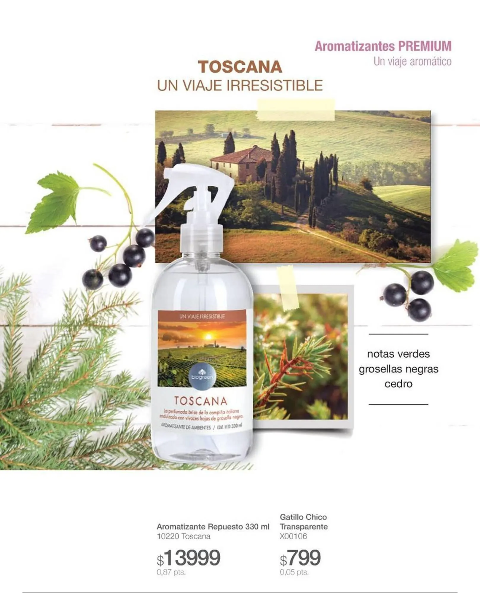 Ofertas de Catálogo Biogreen 4 de noviembre al 30 de noviembre 2025 - Página 27 del catálogo