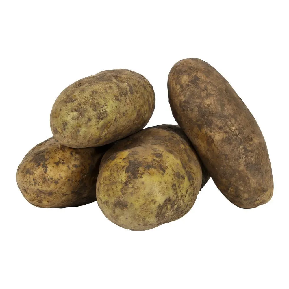 Papa Negra Selec Xkg