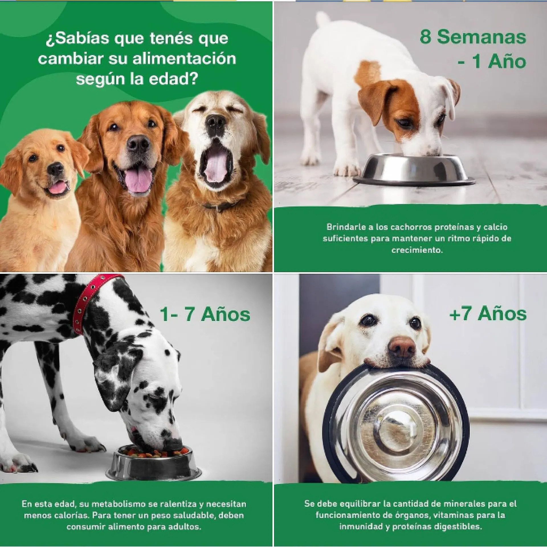 Ofertas de Catálogo Puppis 1 de septiembre al 5 de septiembre 2023 - Página 6 del catálogo