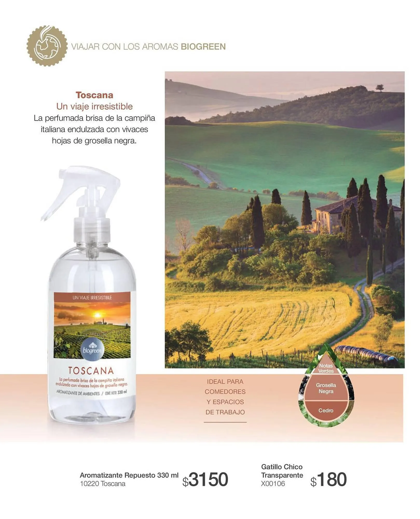 Ofertas de Catálogo Biogreen 20 de octubre al 30 de noviembre 2023 - Página 38 del catálogo