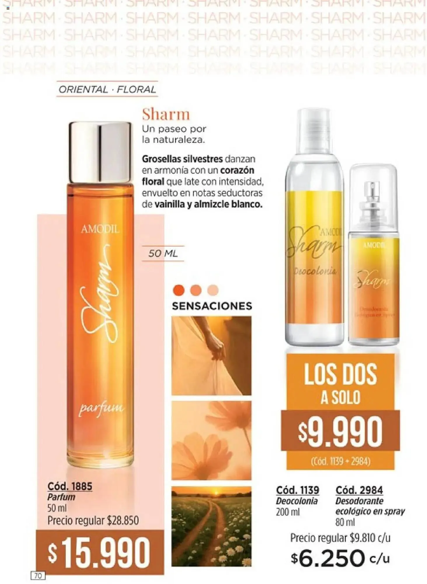 Ofertas de Catálogo Amodil 13 de junio al 27 de junio 2025 - Página 72 del catálogo