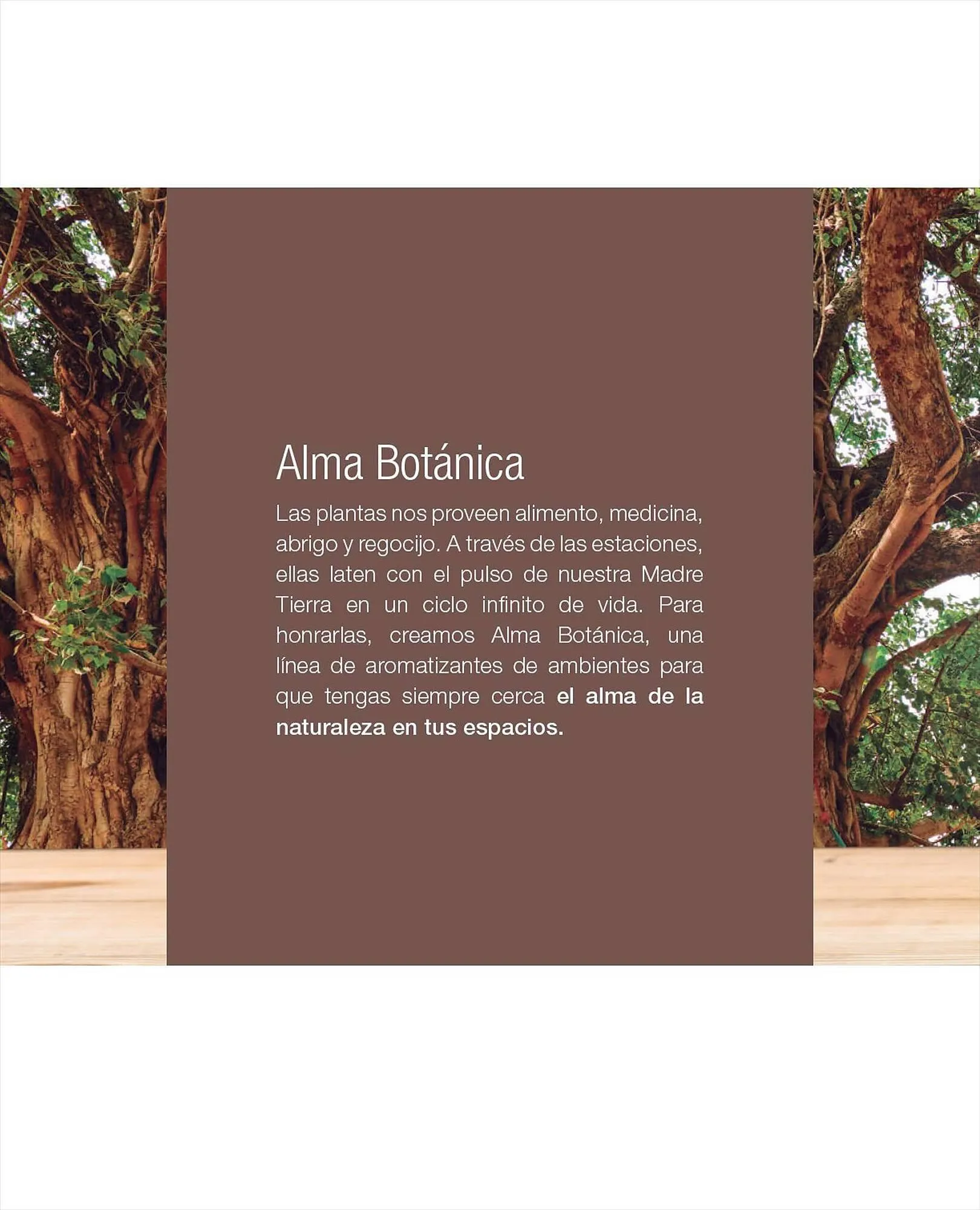 Ofertas de Catálogo Biogreen 27 de julio al 30 de julio 2023 - Página 34 del catálogo