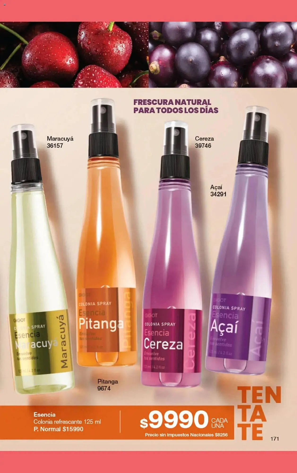 Ofertas de Folleto Gigot 1 de febrero al 1 de marzo 2026 - Página 177 del catálogo