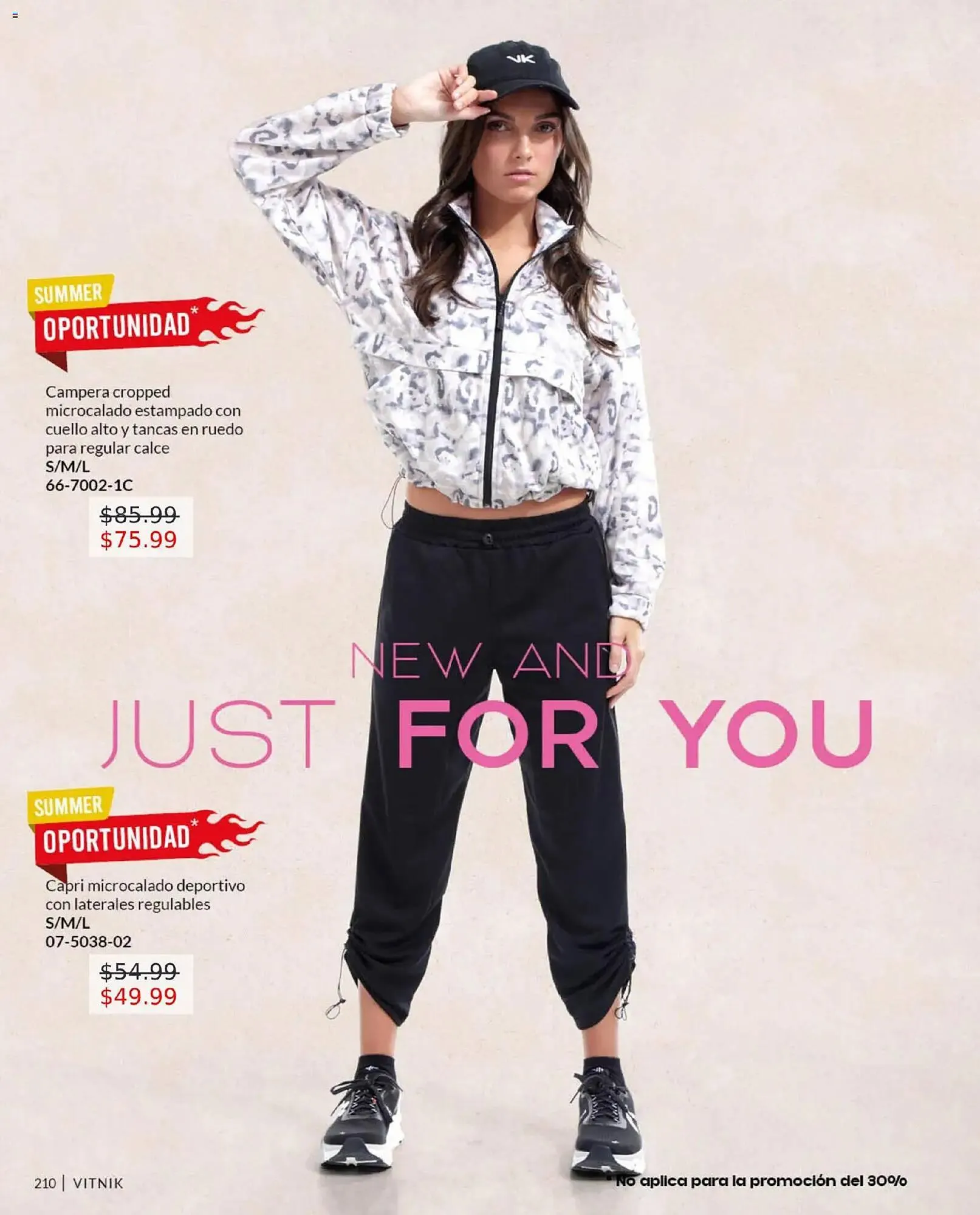 Ofertas de Catálogo Vitnik 1 de enero al 31 de diciembre 2026 - Página 210 del catálogo